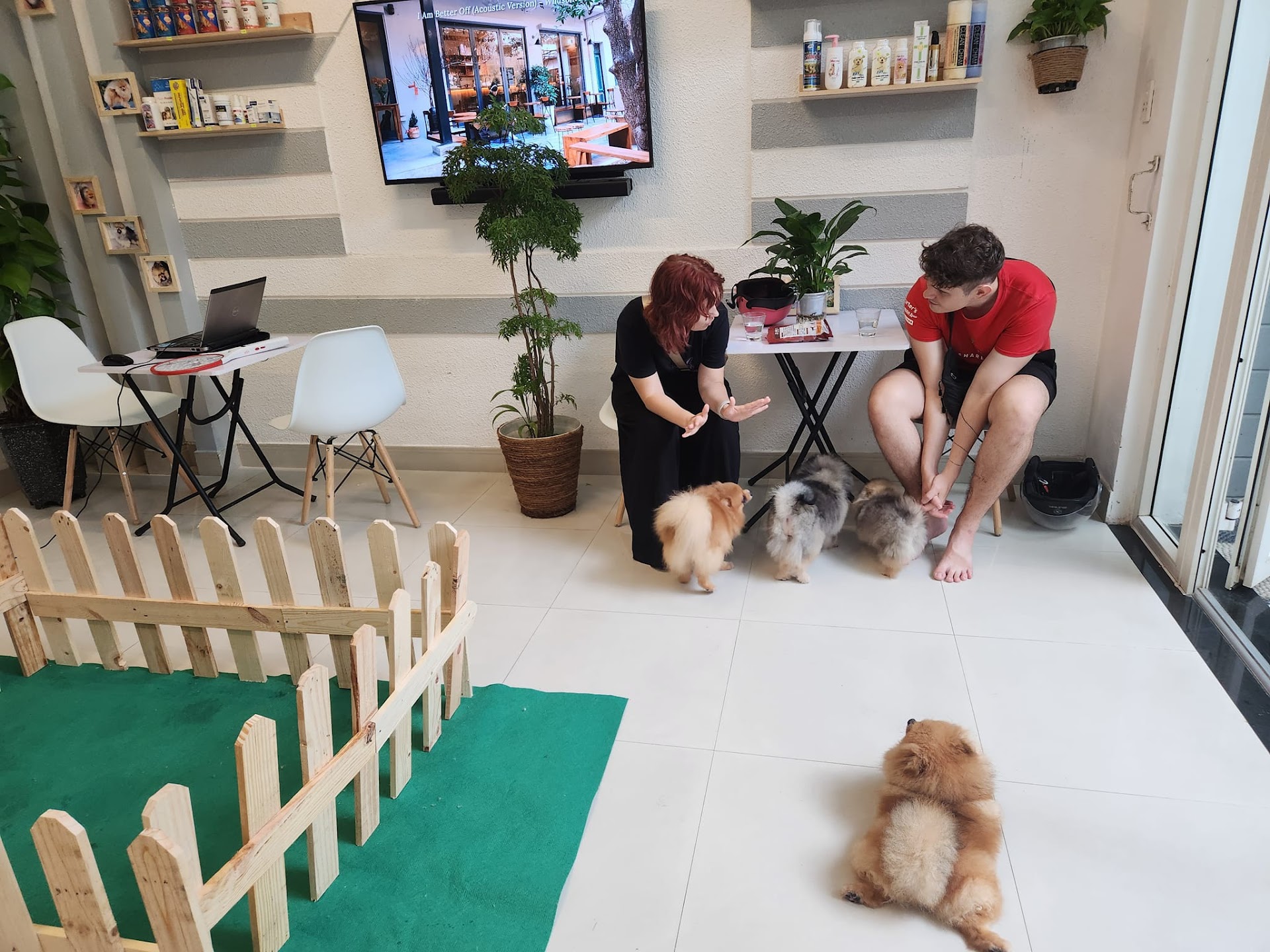 GIANG POMERANIAN HOUSE - PET COFFEE - CÀ PHÊ THÚ CƯNG