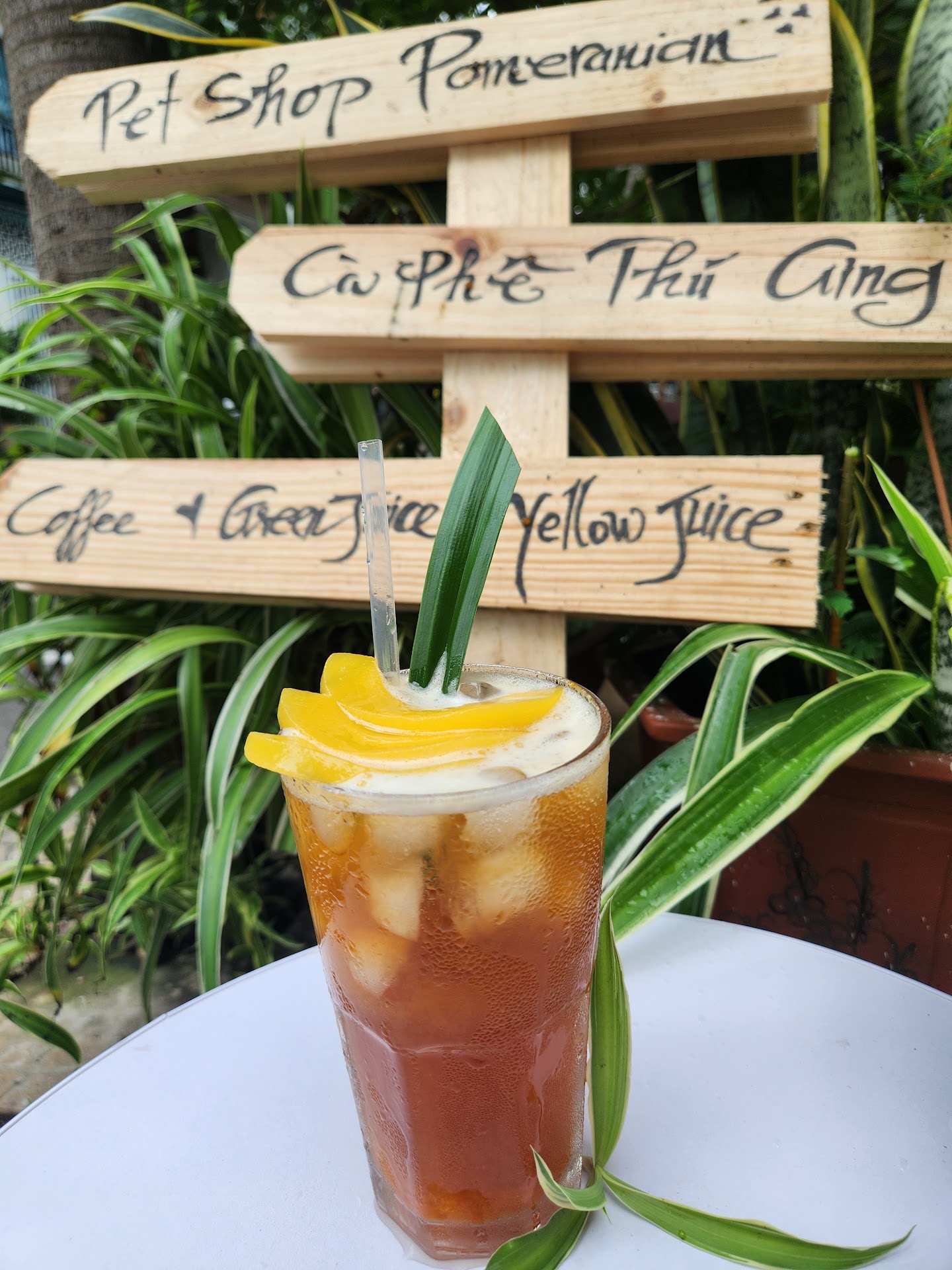 GIANG POMERANIAN HOUSE - PET COFFEE - CÀ PHÊ THÚ CƯNG