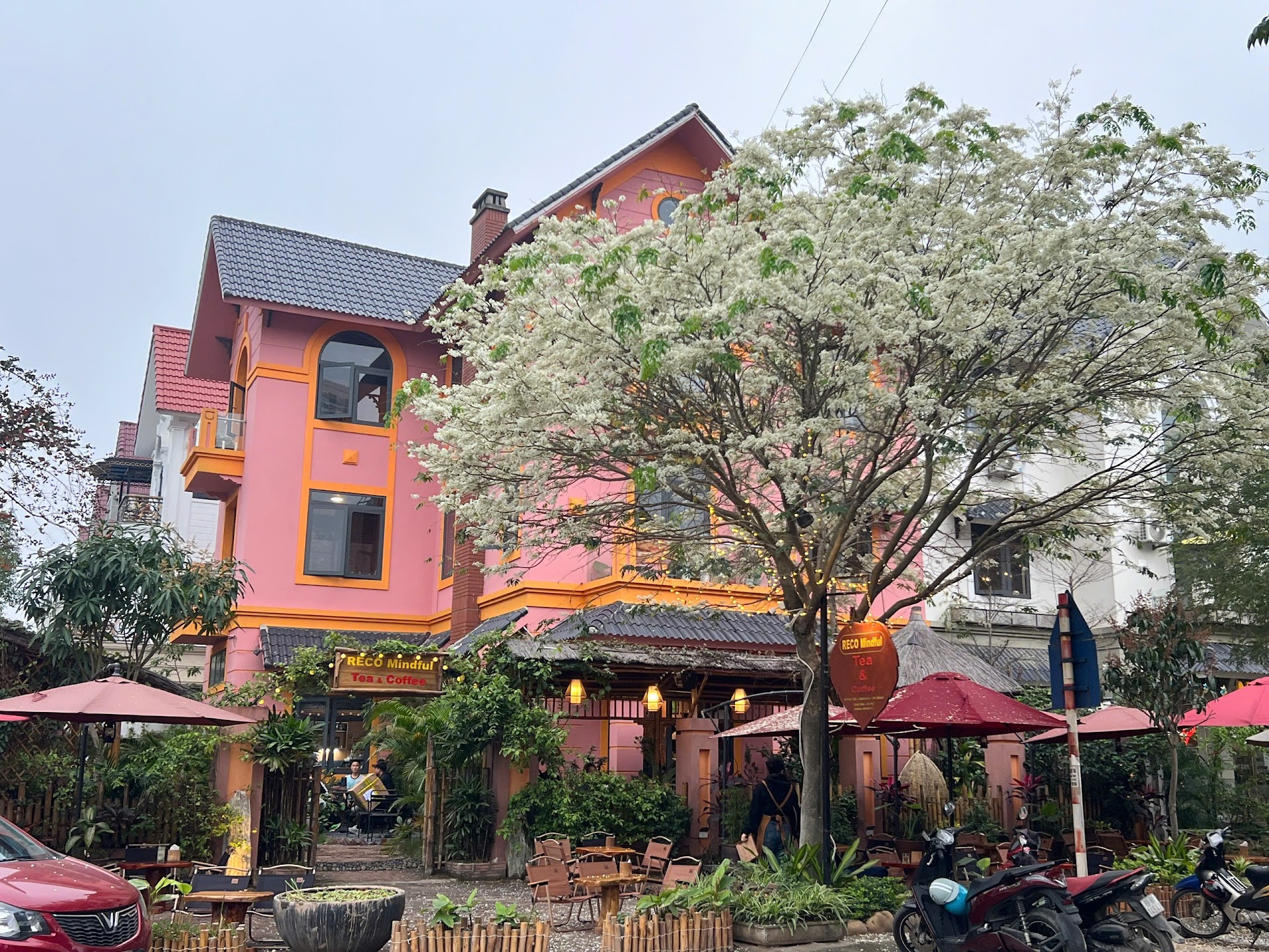 Reco Mindful Tea & Coffee