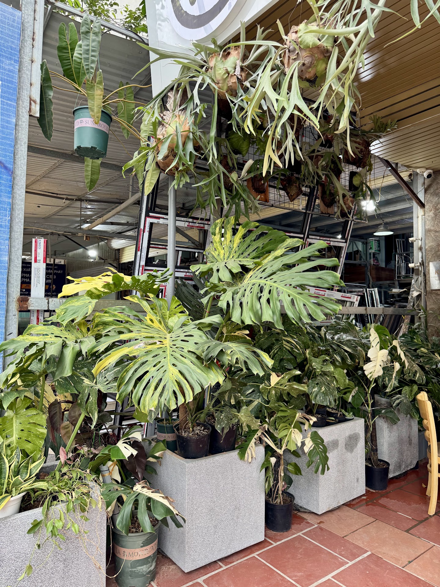 Cafe An Trạm Oxy Cây