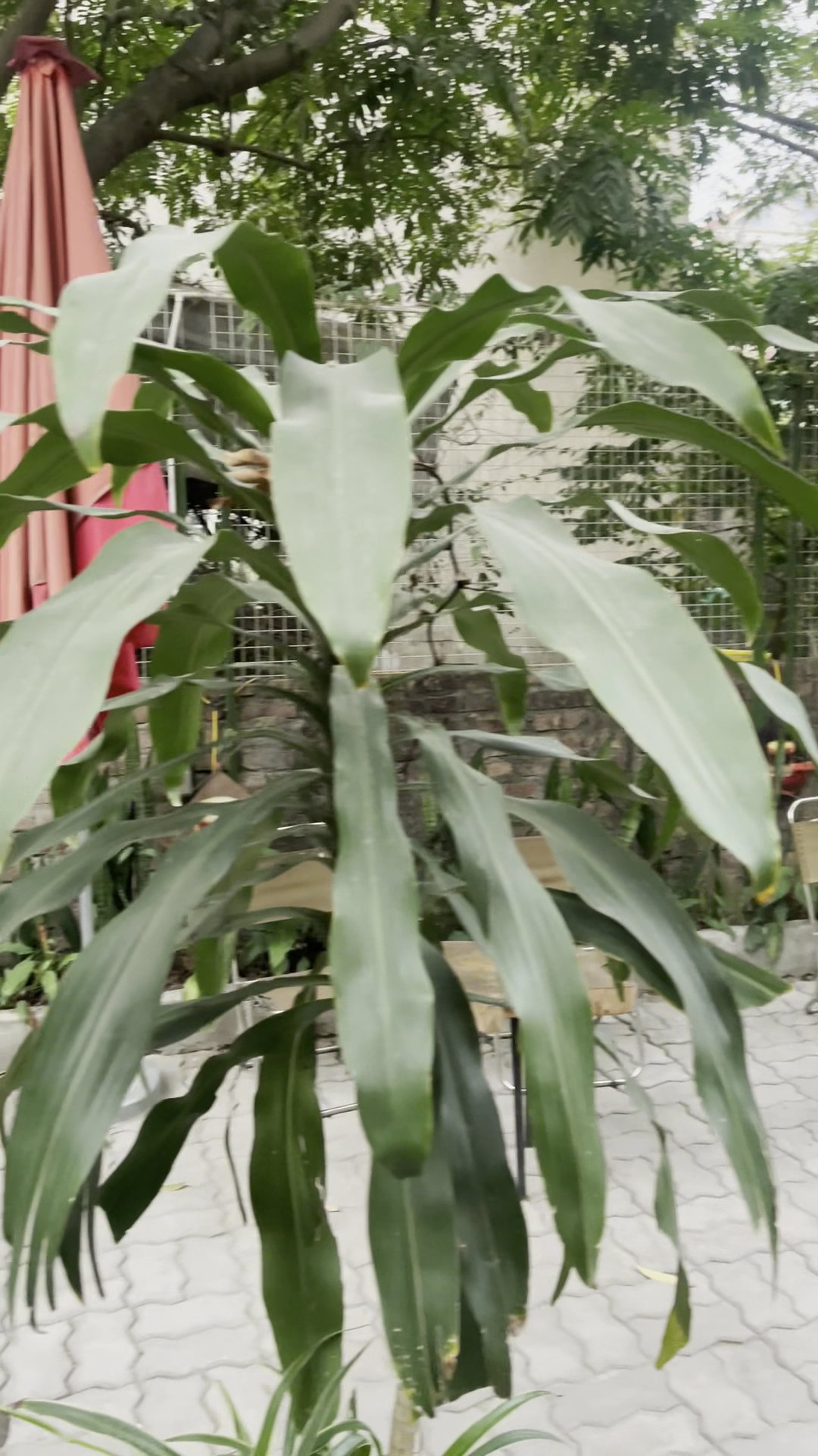 Tỉnh Cà Phê _Nhà Rang Cà Phê