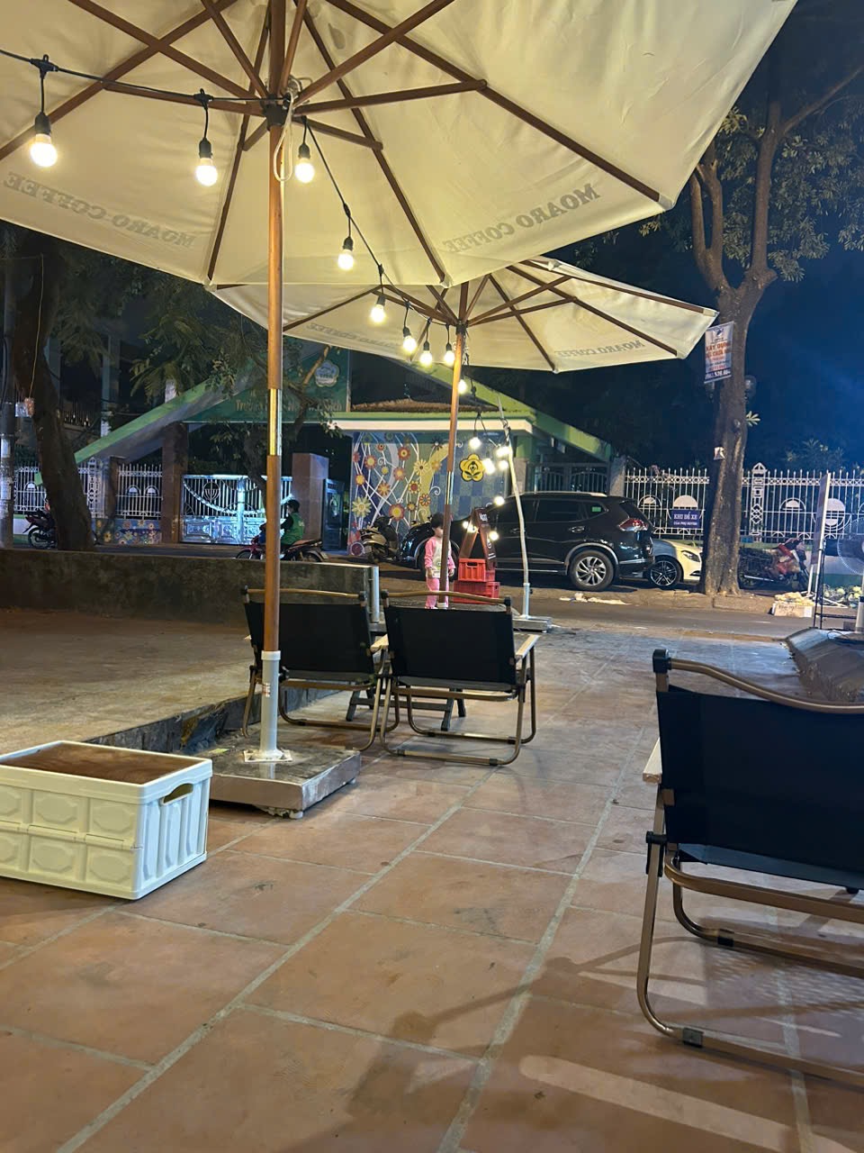 Moaro coffee Mầm non mai dịch