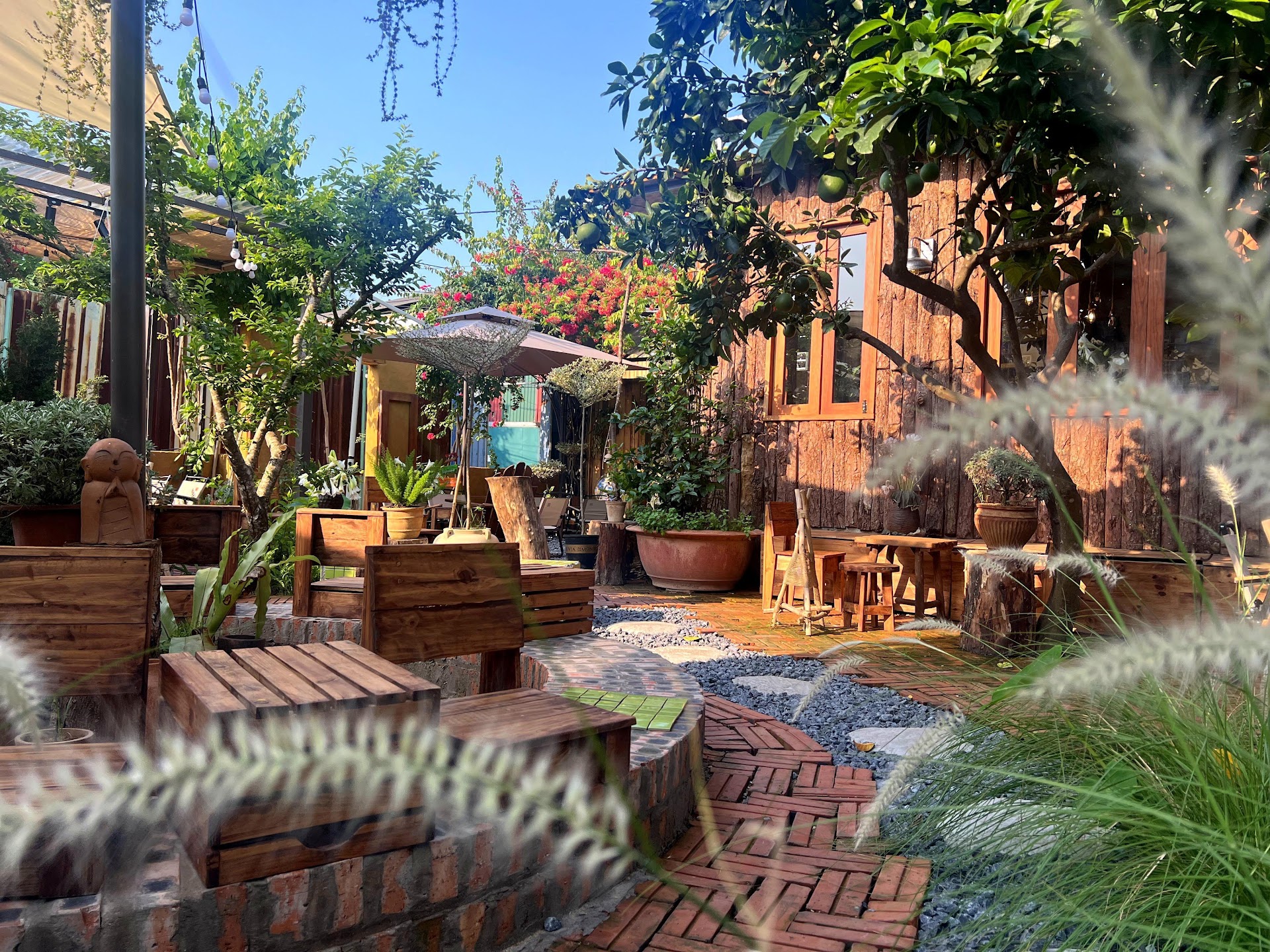 Vườn ở trong nhà