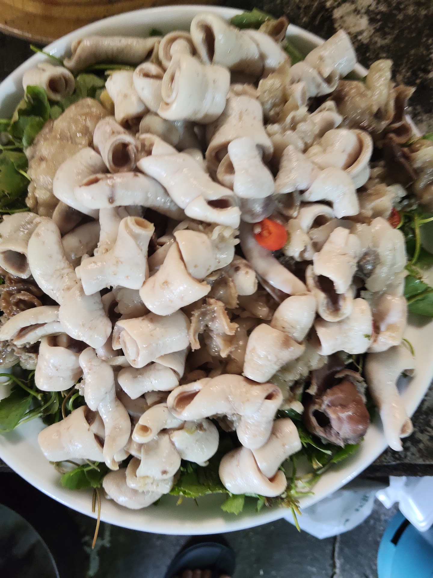 Quán Mèo Giang Béo Cự Đà