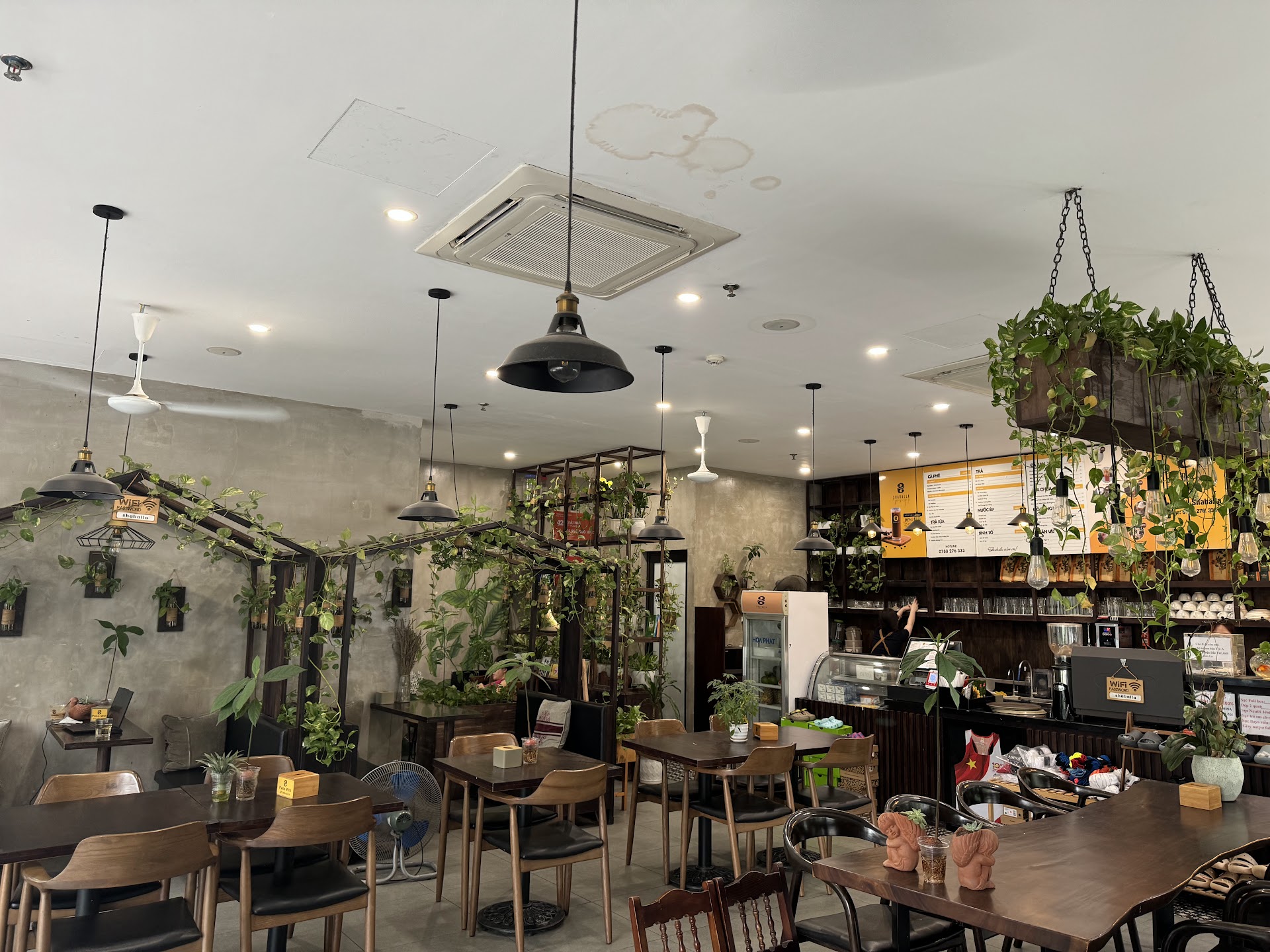 Shaballa Coffee & Tea