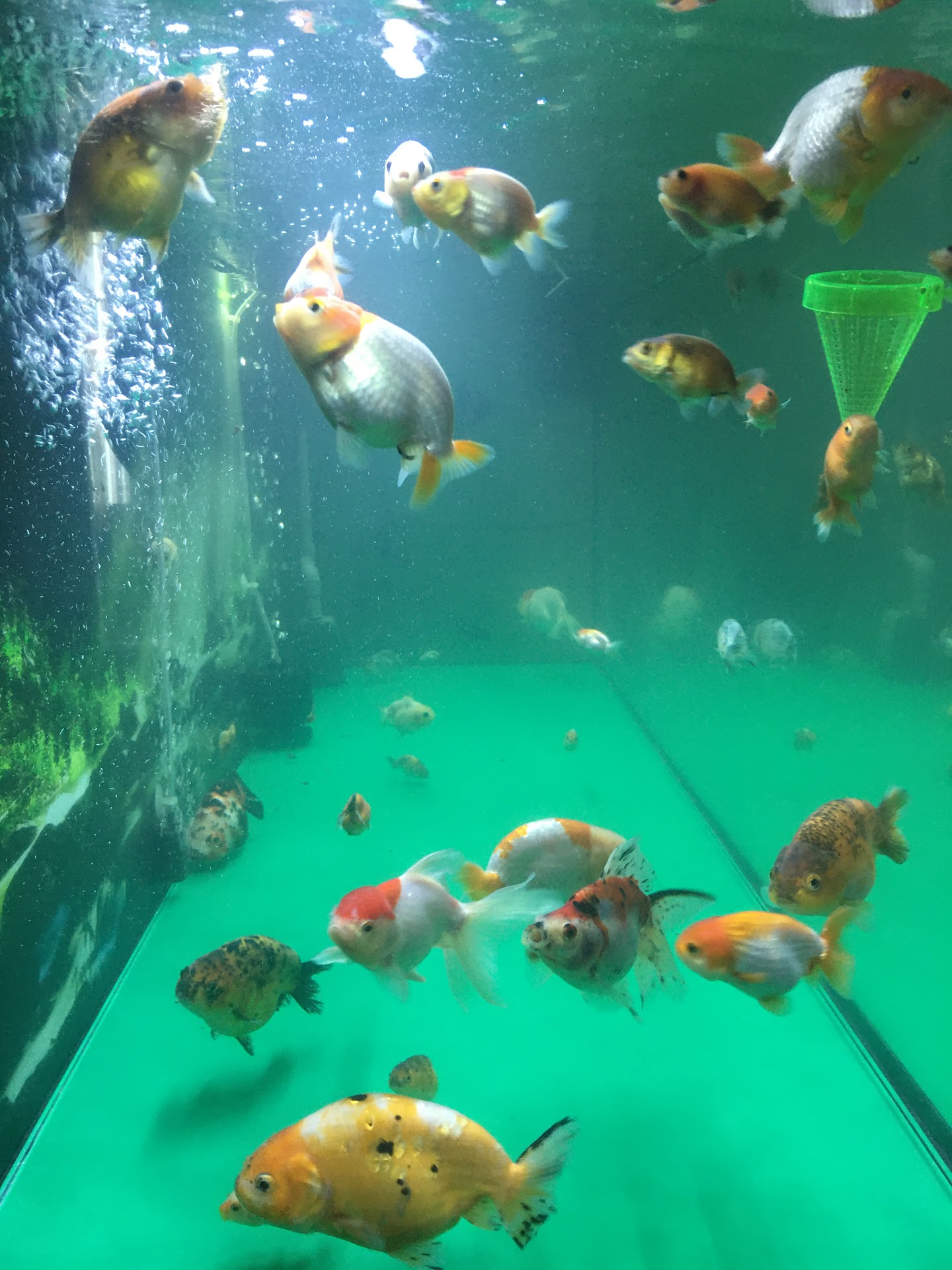 Quán Bia Quang Yến