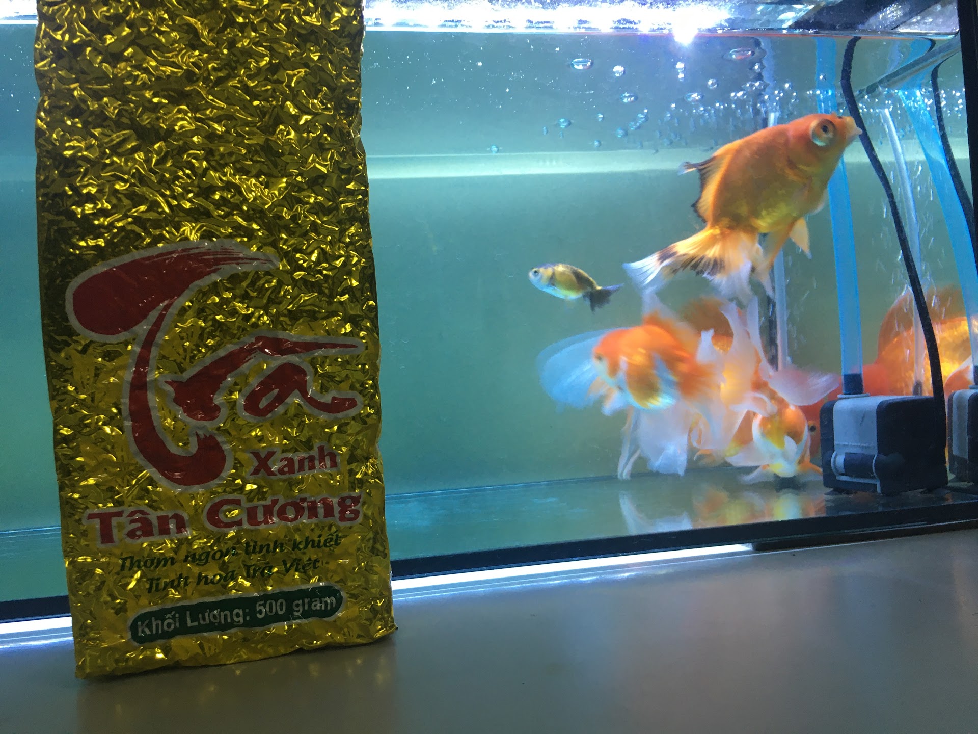 Quán Bia Quang Yến