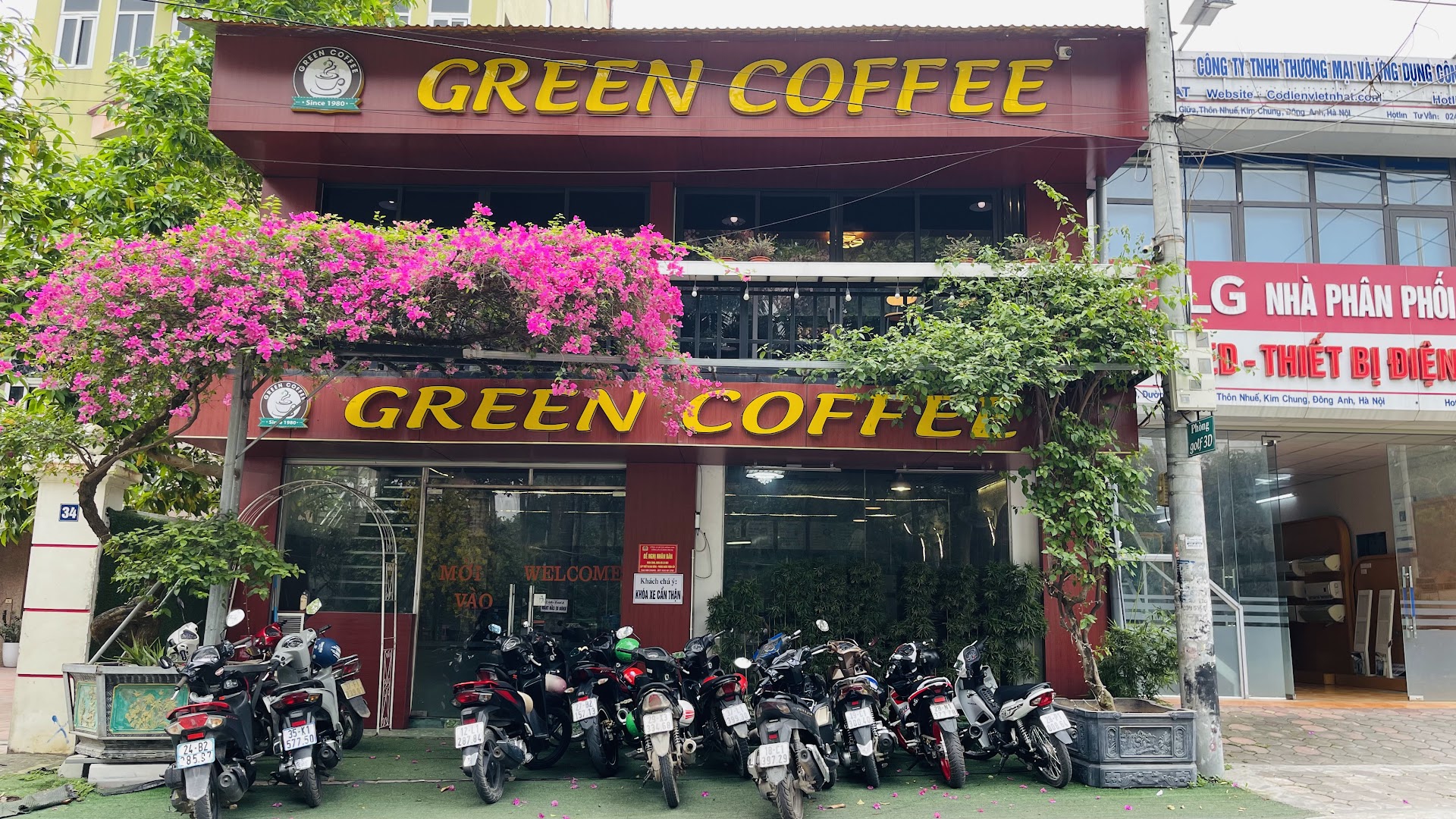 Green Coffee