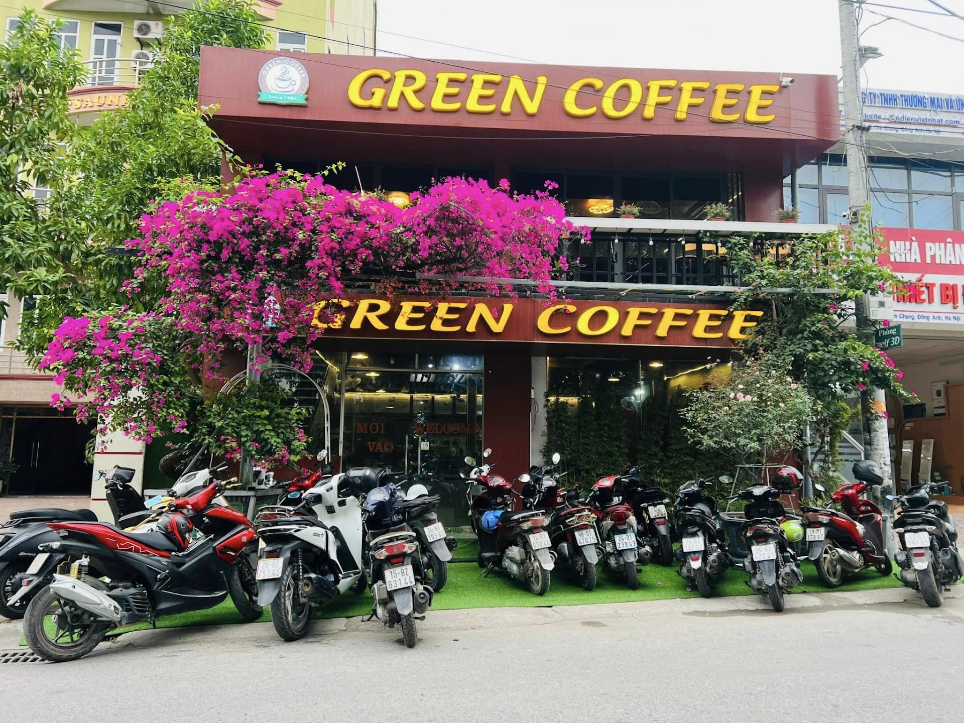 Green Coffee