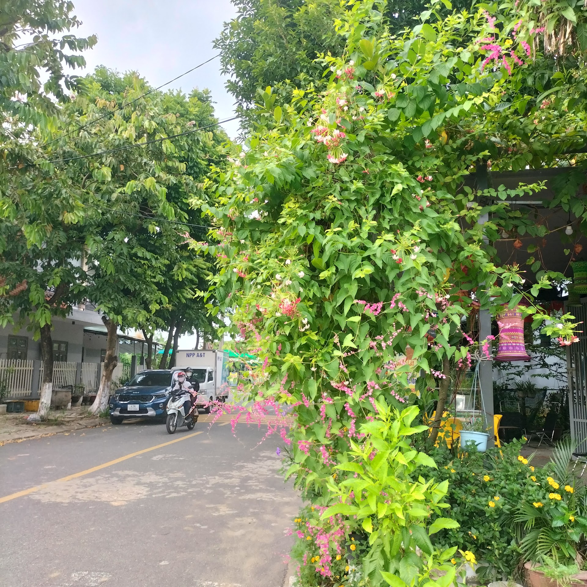 Quán cà phê Hồ Nhung