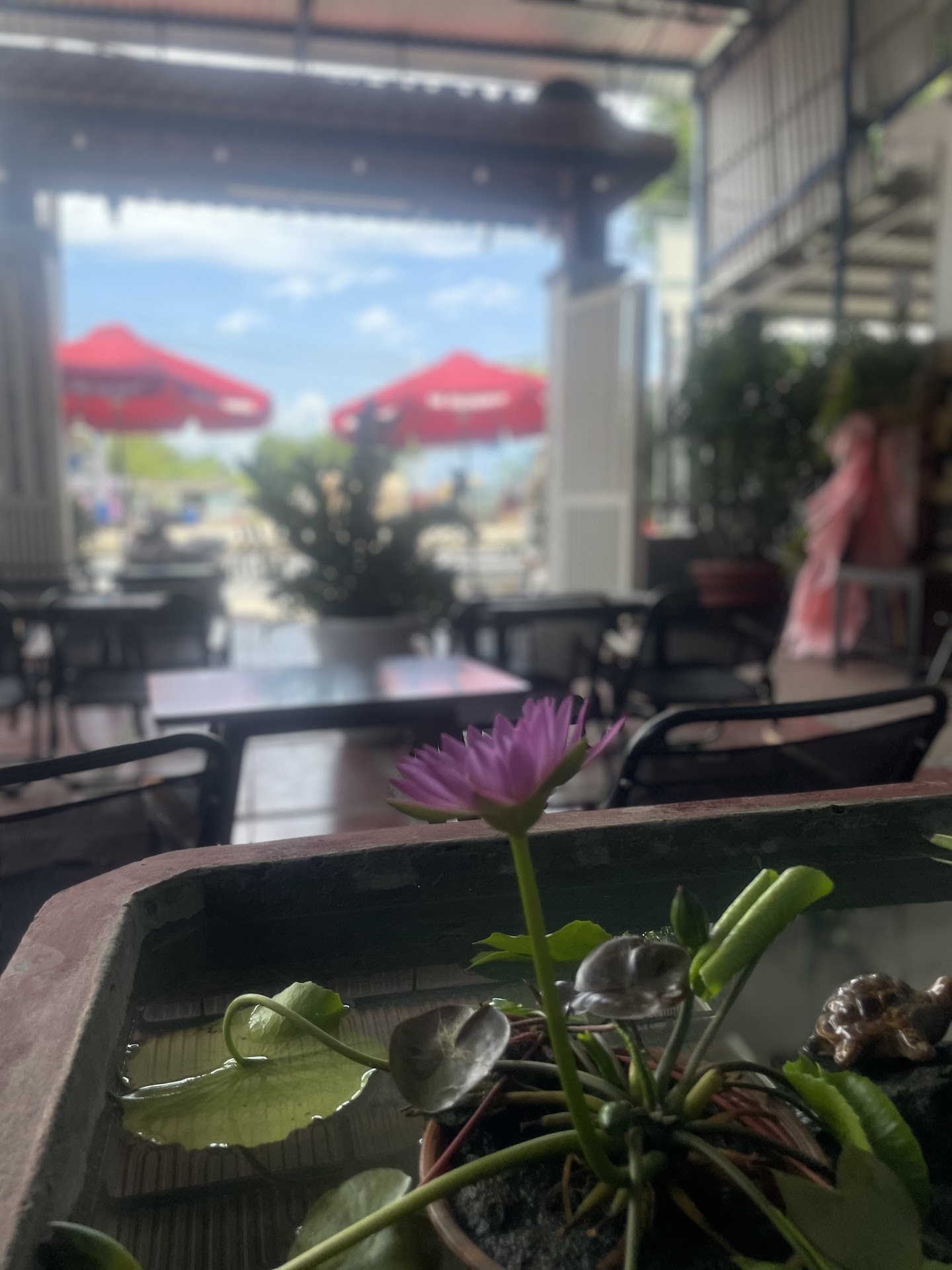 Monaco Coffee Hòa Phước - Hòa Vang - Đà Nẵng