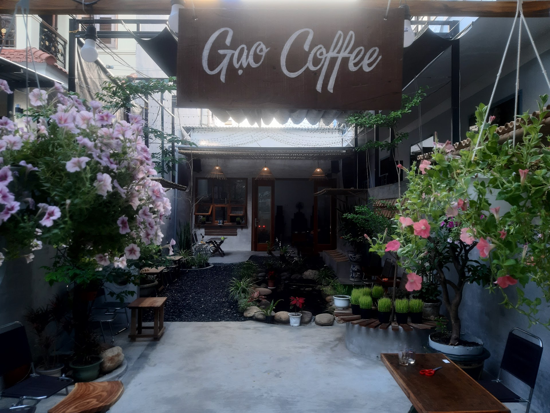 Gạo coffee