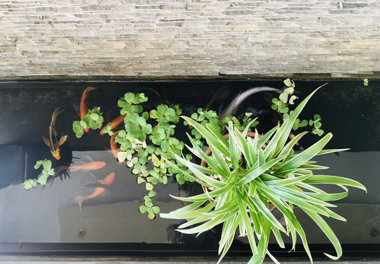 Tiệm Cà Phê Hà My