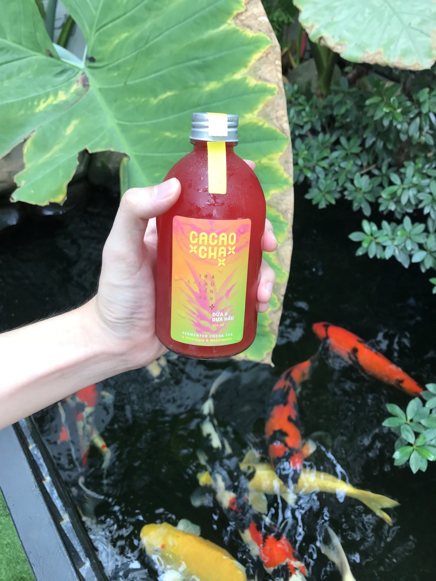 Evolight cafe (cafe dễ thương)