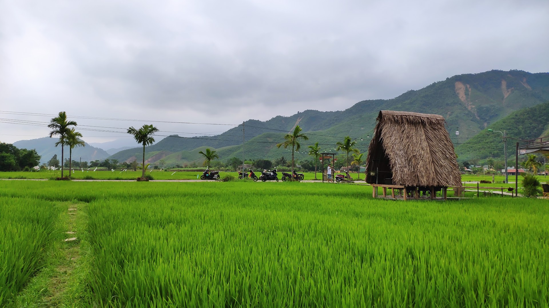 Cà phê view Đồng Lúa