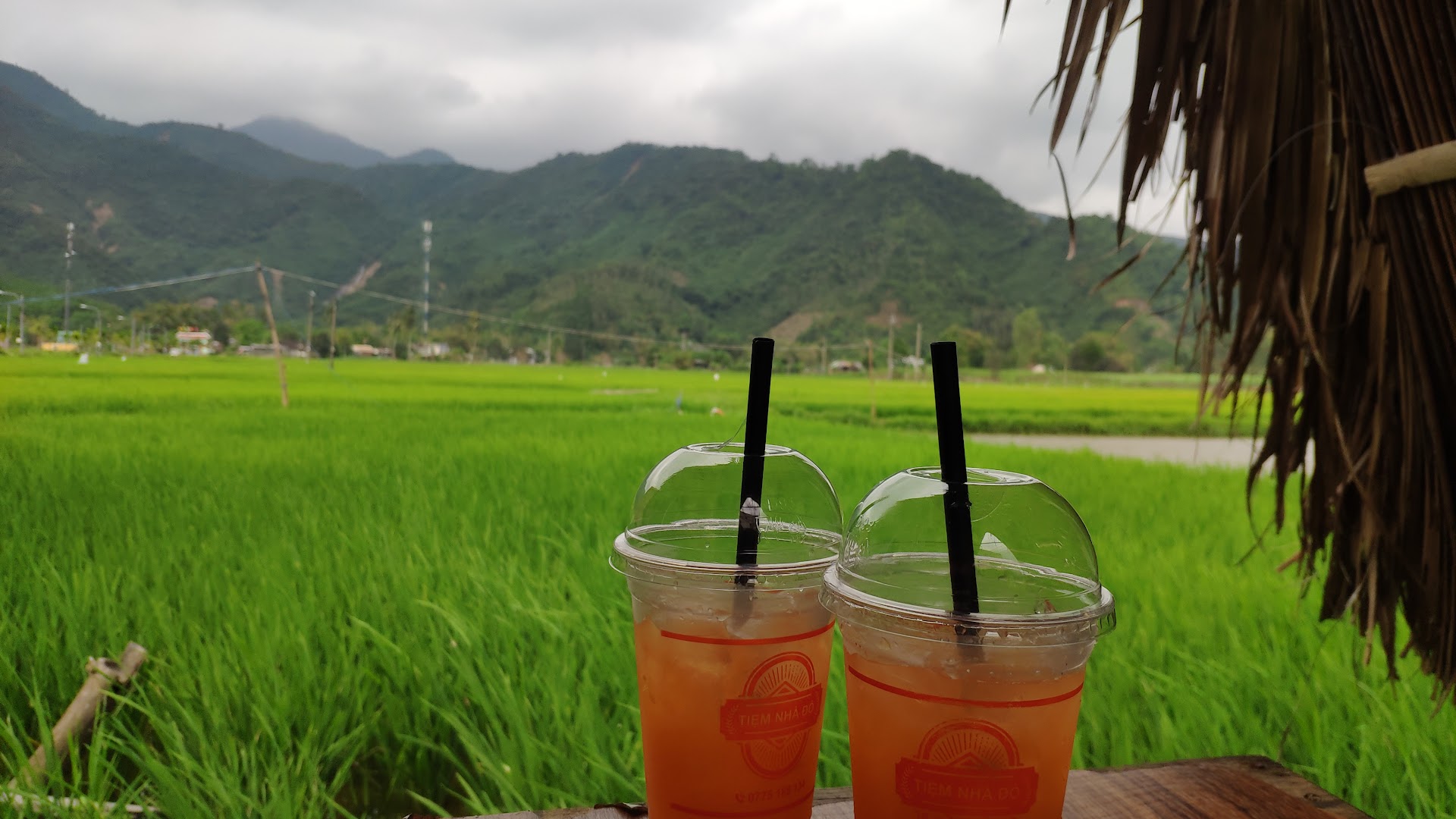 Cà phê view Đồng Lúa