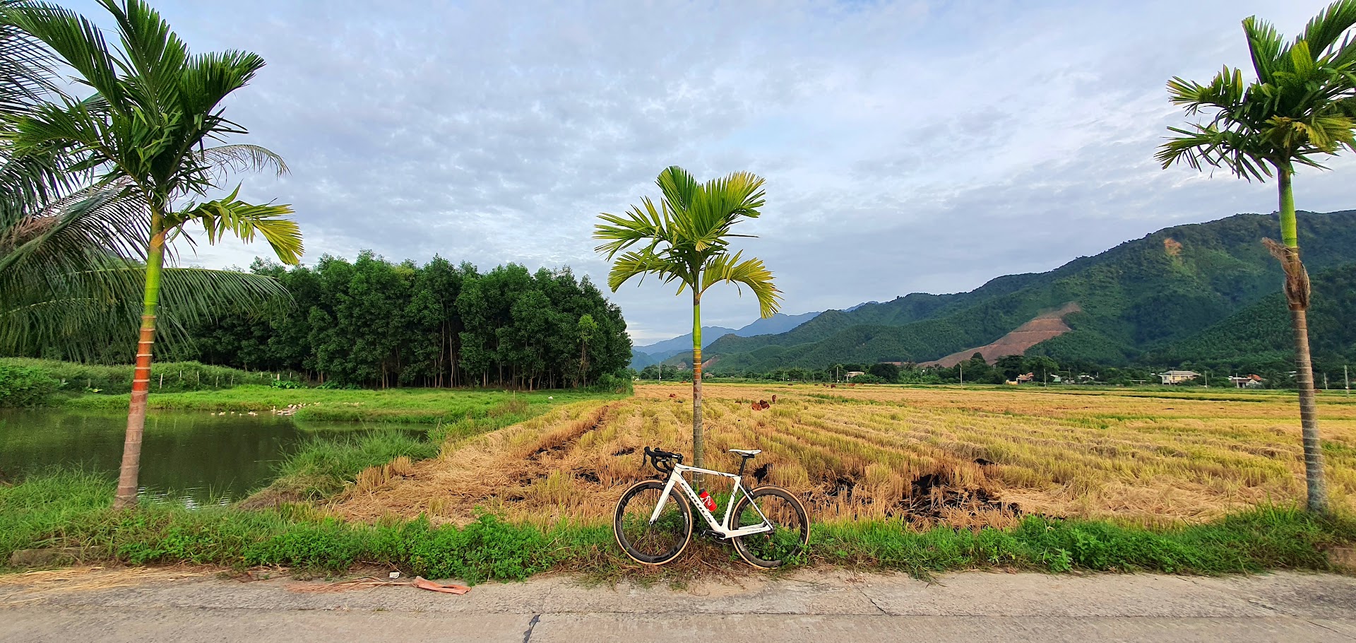 Cà phê view Đồng Lúa