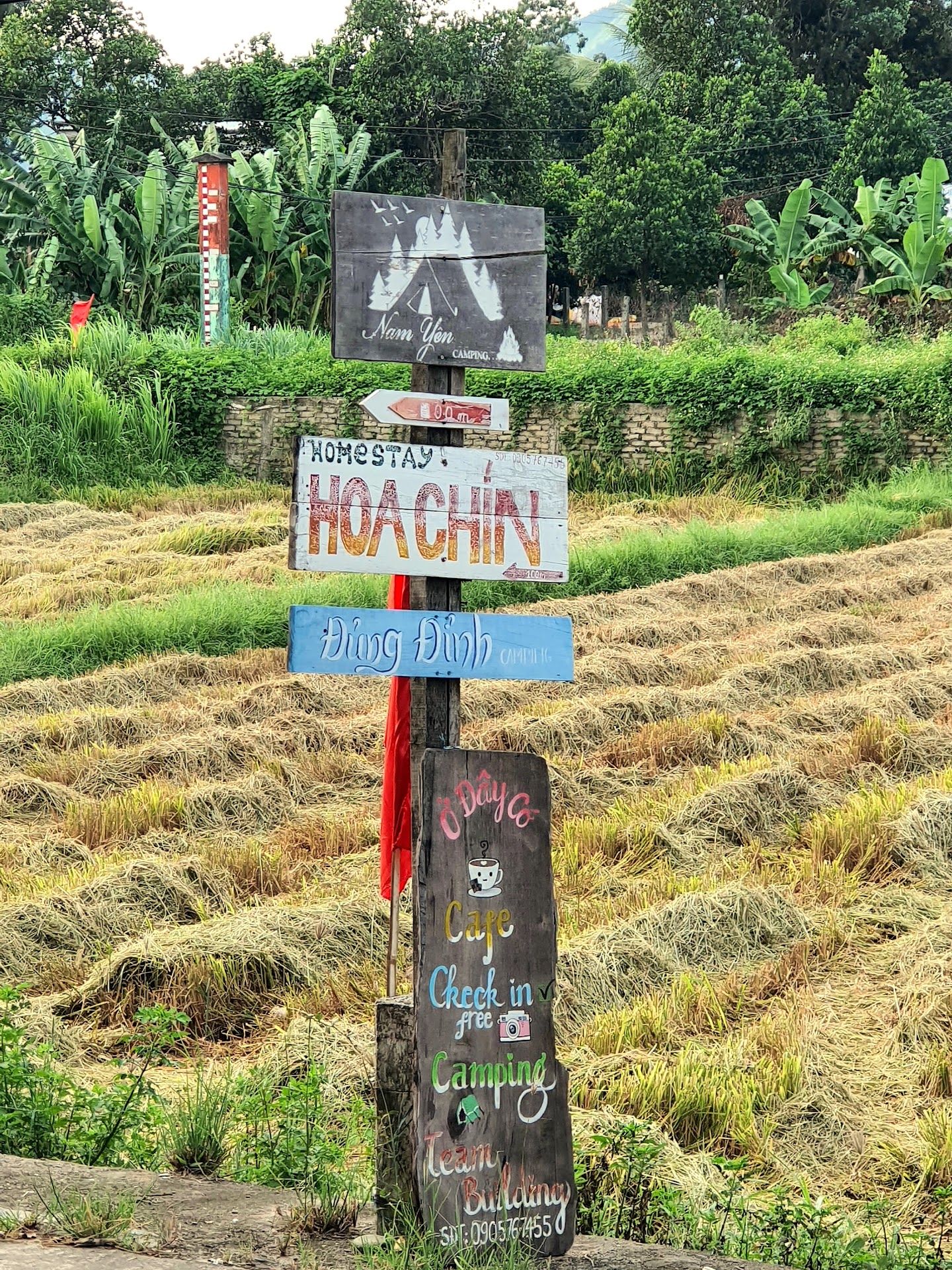 Cà phê view Đồng Lúa