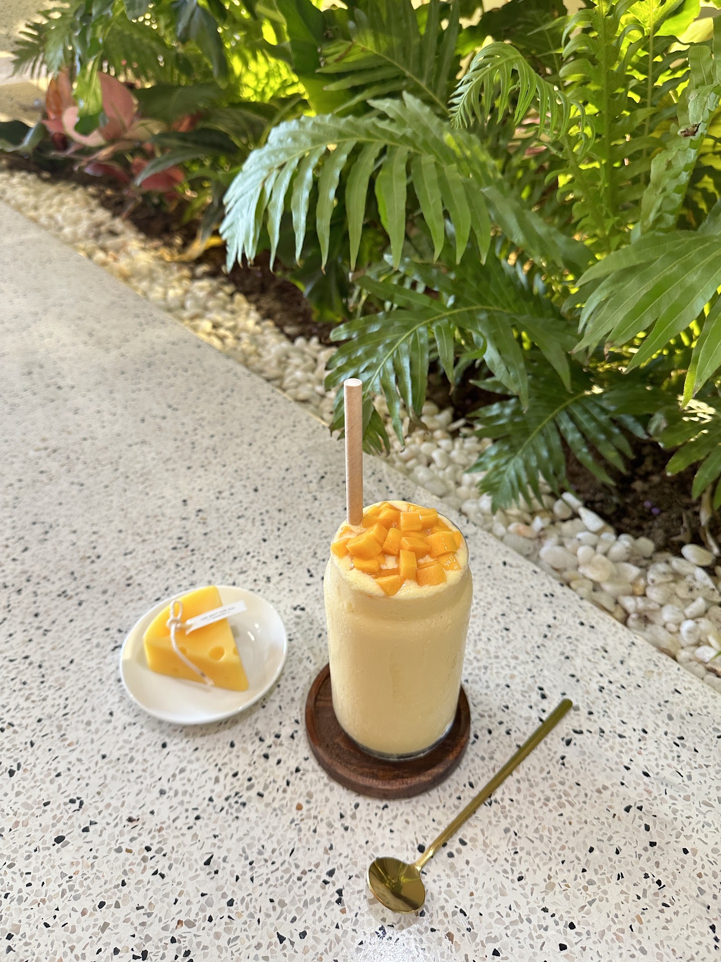 Rùa House Coffee & Homestay