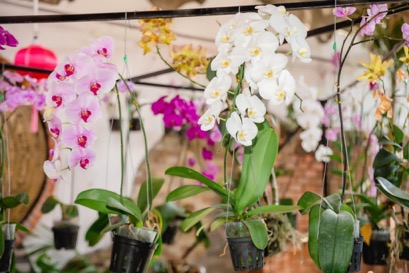 Quán coffee điểm tâm Cao Nguyên 4U