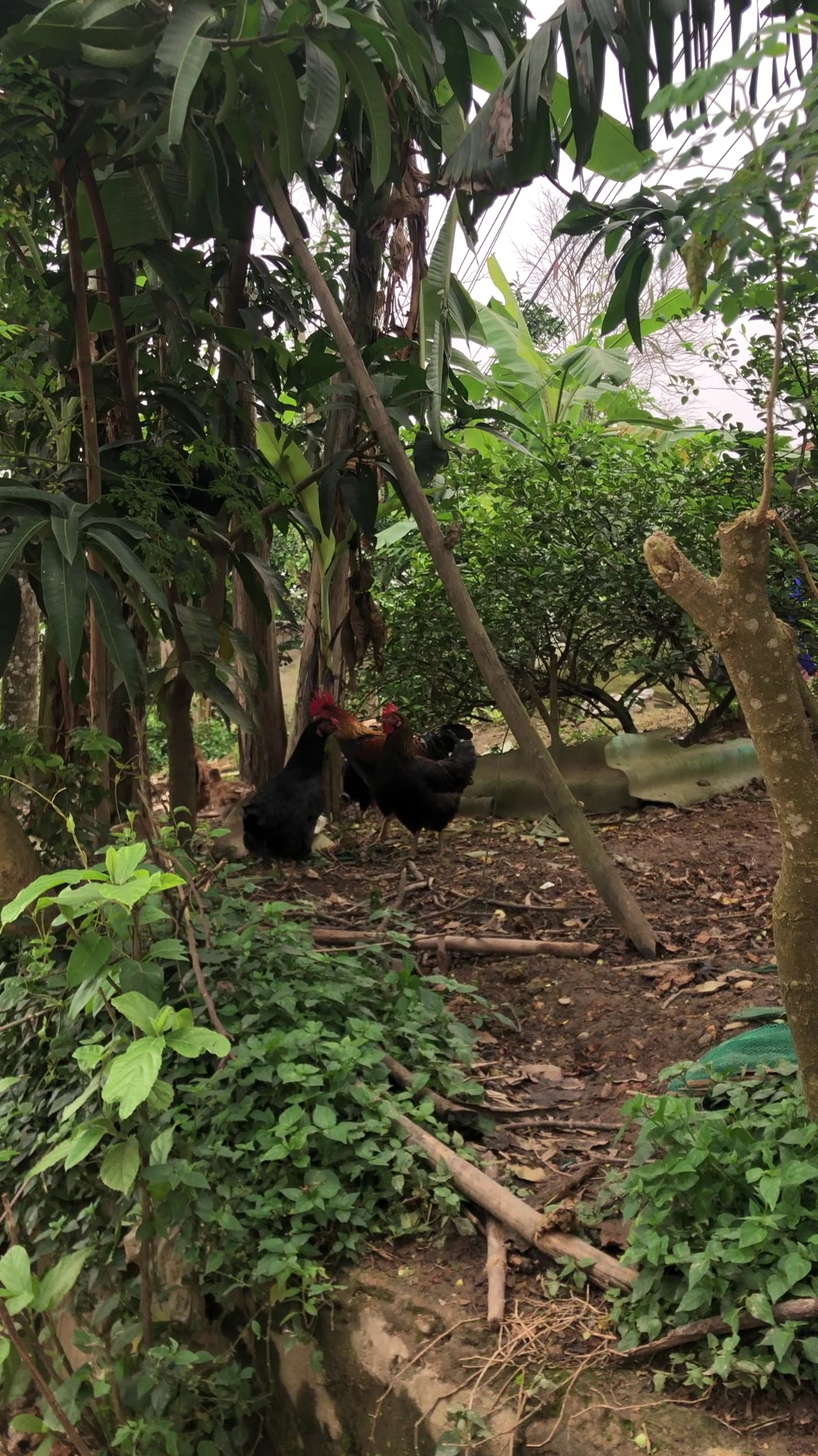 Cà phê đời thường