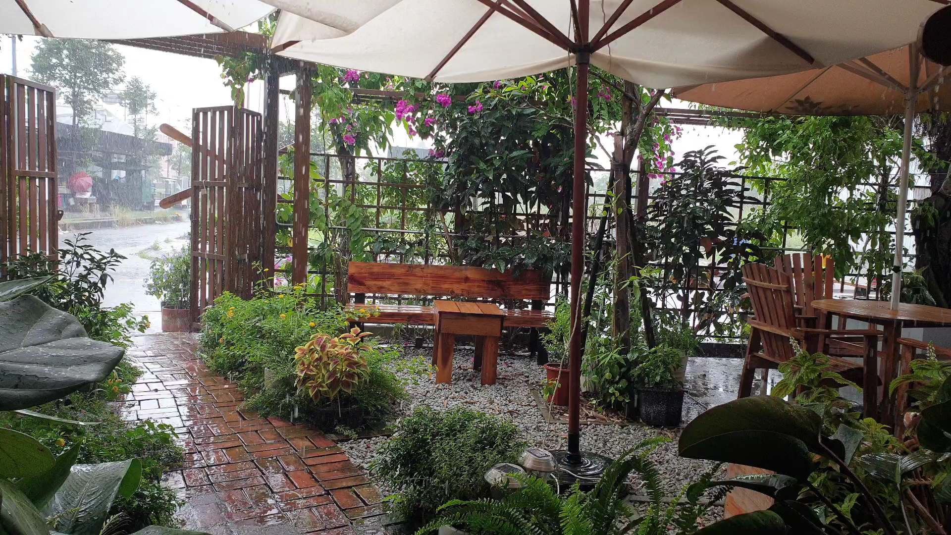 Tiệm cà phê Xoài