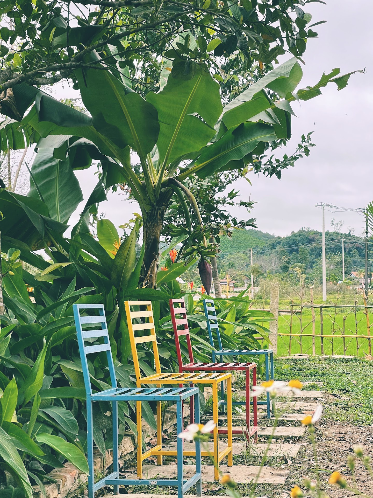 Homestay Liti Farm - Quán nước & Bếp quê