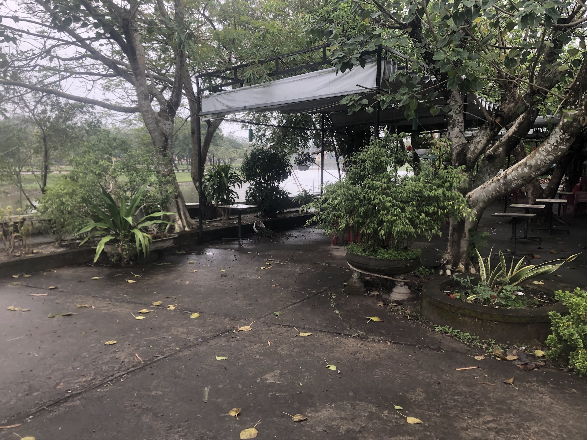 Cafe Siạ Xưa & Nay