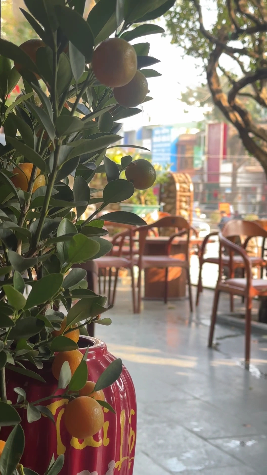 An Cát Viên Coffee&Tea House