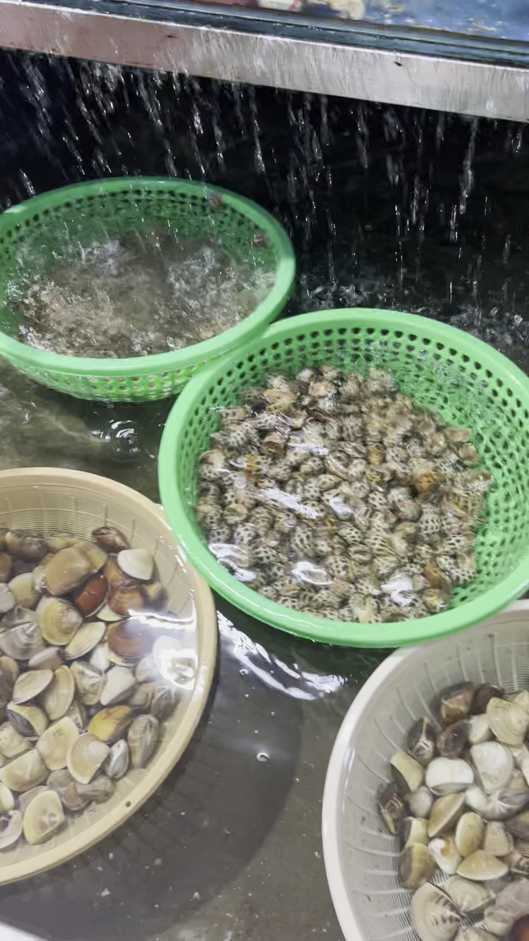 Nhà Hàng Biển Nhớ Cửa Hội số 2&3