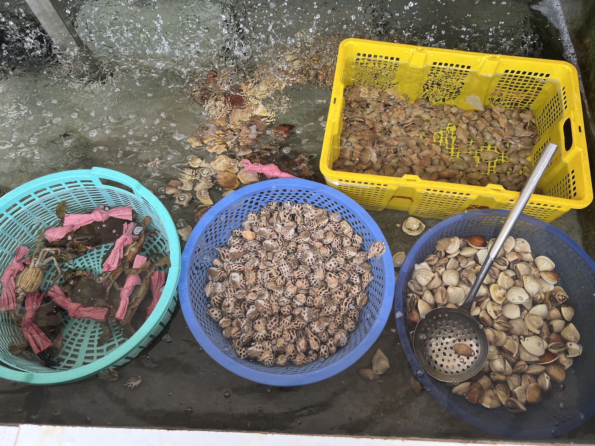 Nhà Hàng Biển Nhớ Cửa Hội số 2&3