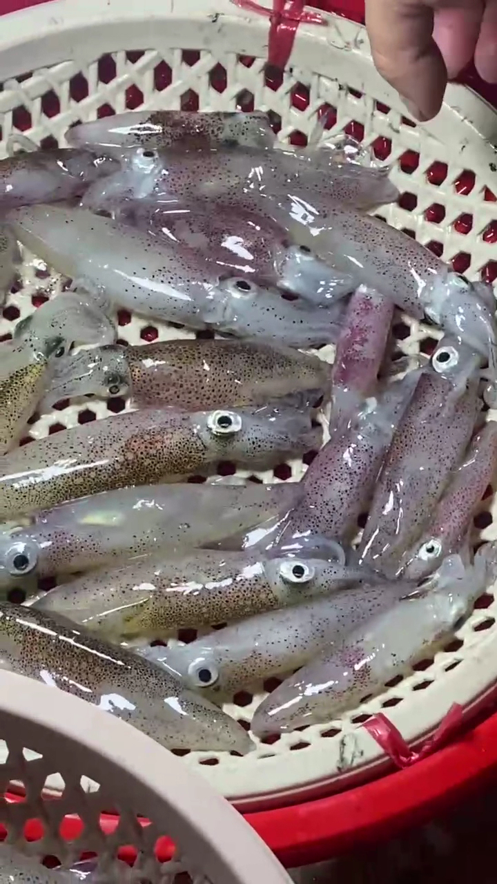 Nhà Hàng Nhích - Ẩm Thực Cửa Hội