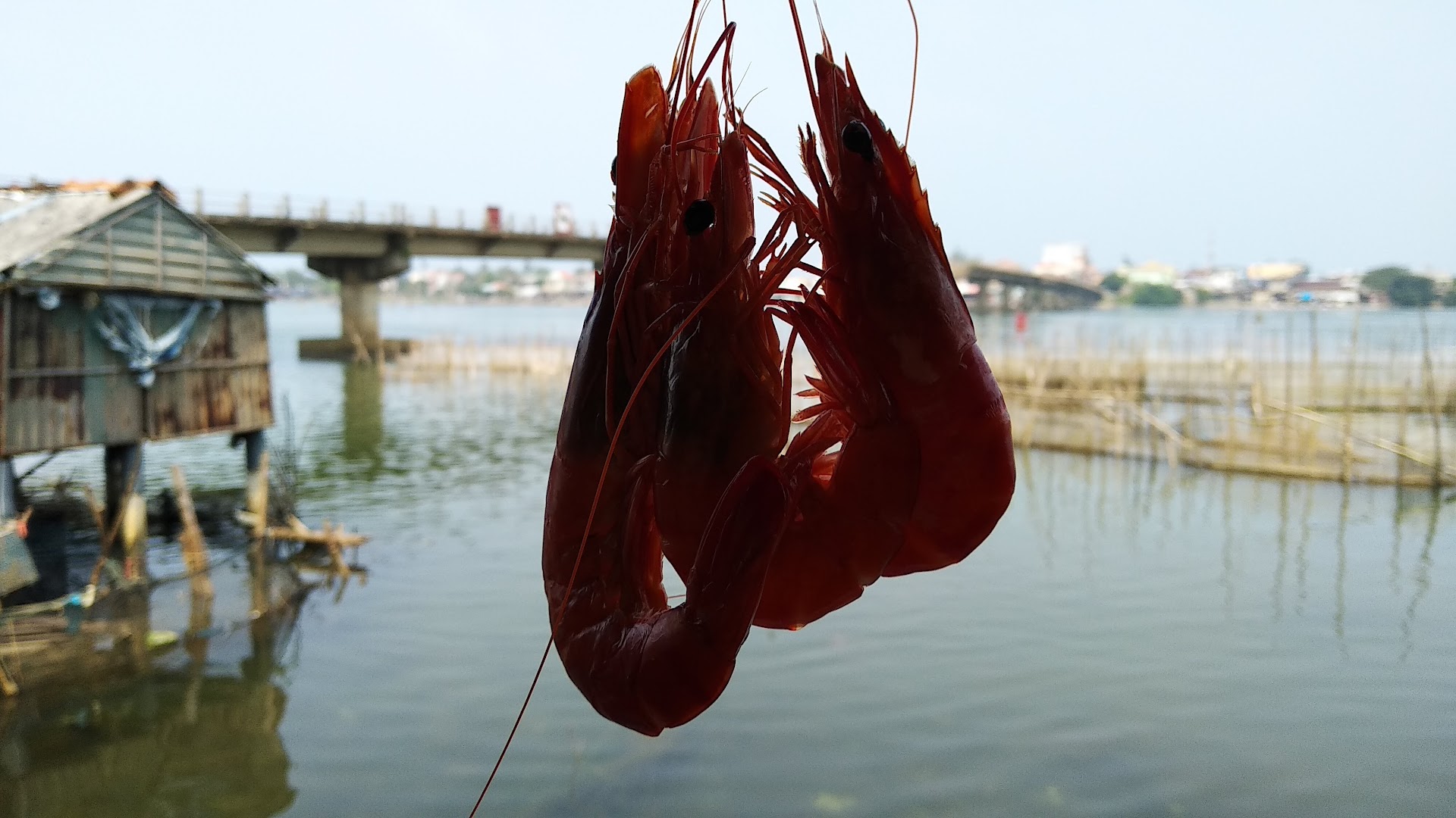 Quán Hải Sản Tuấn Phúc