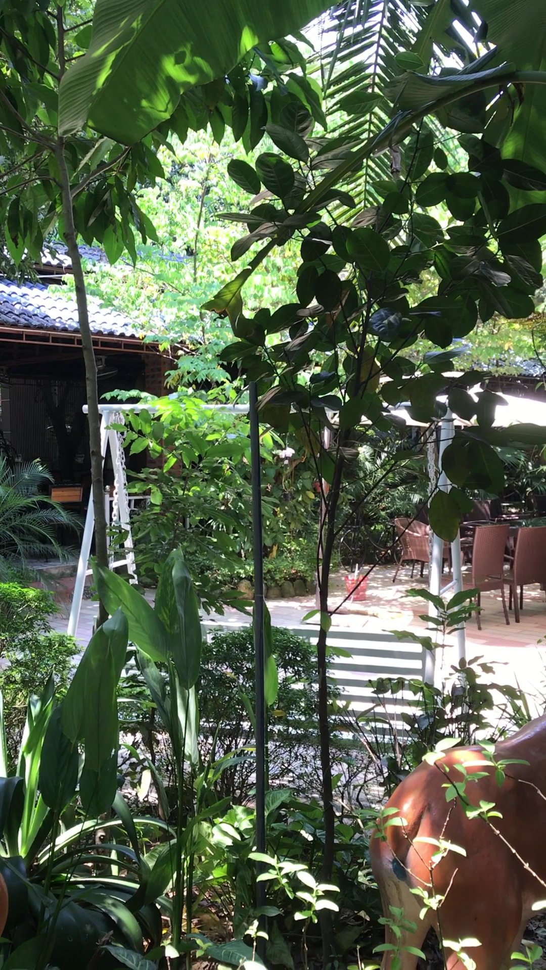 Trang Hoa Viên Coffee