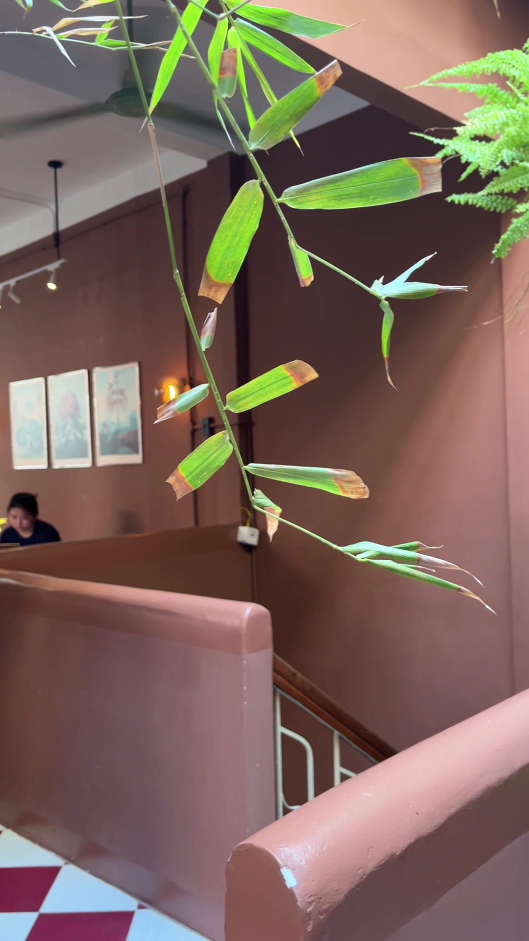 Xào Xạc cafe & plants