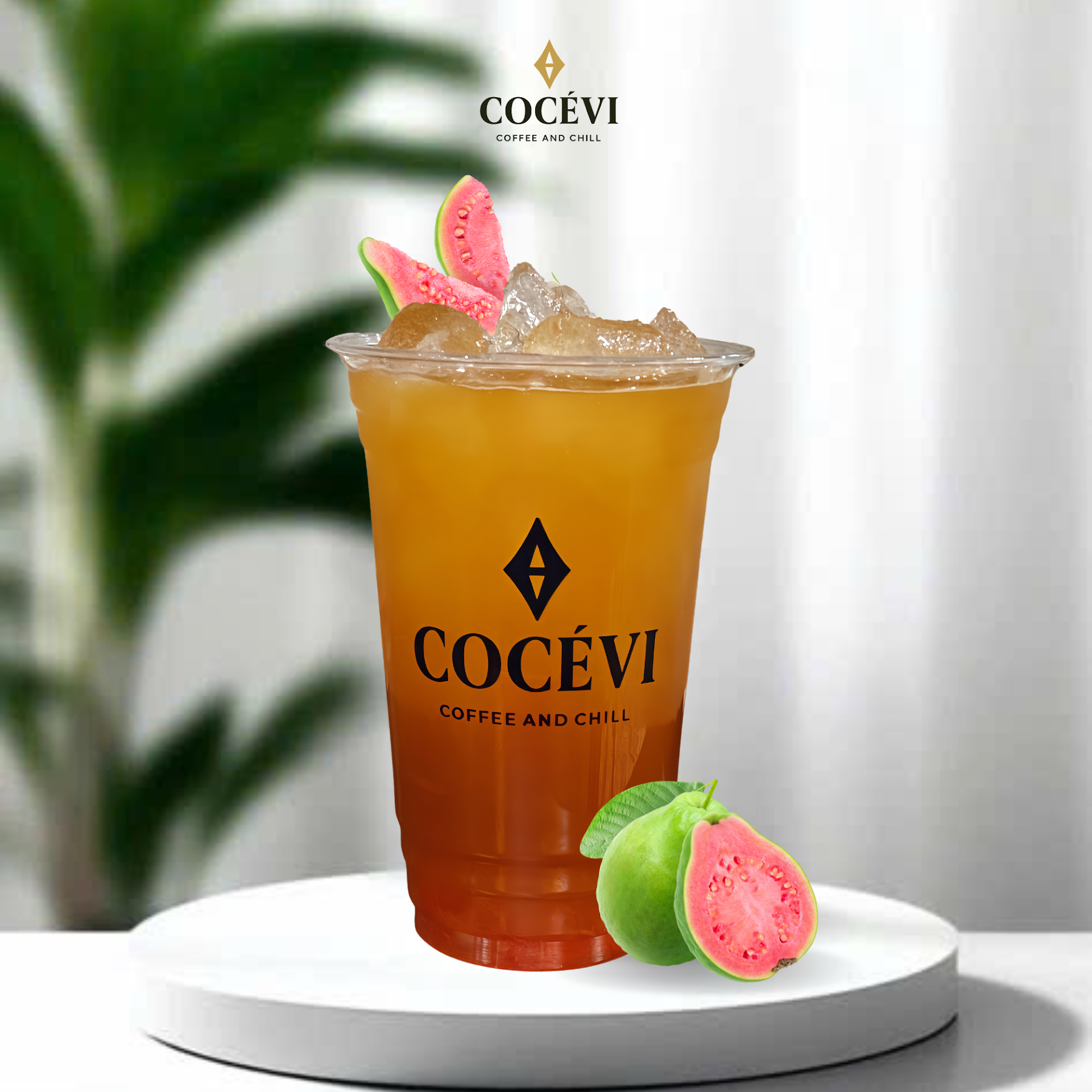 COCEVI Ba Tháng Hai - Coffee and Chill