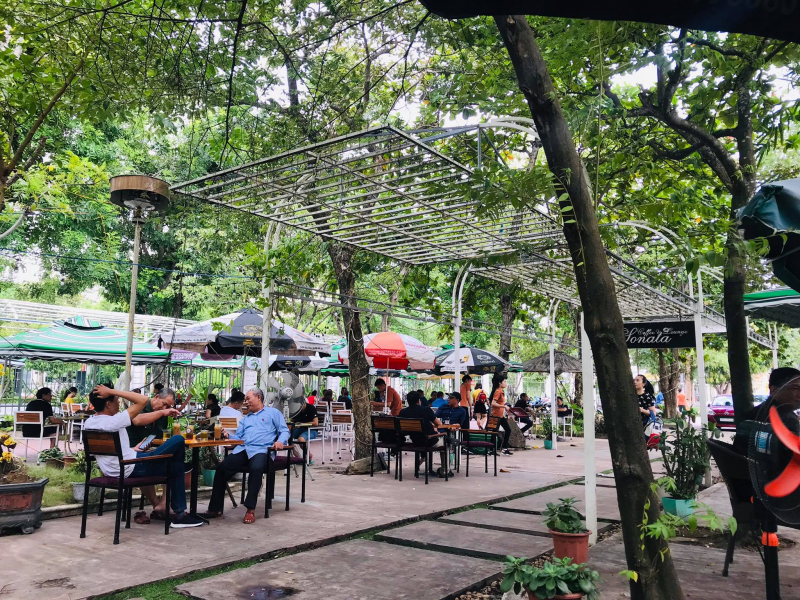 Cà phê CHOA SONATA - VINH