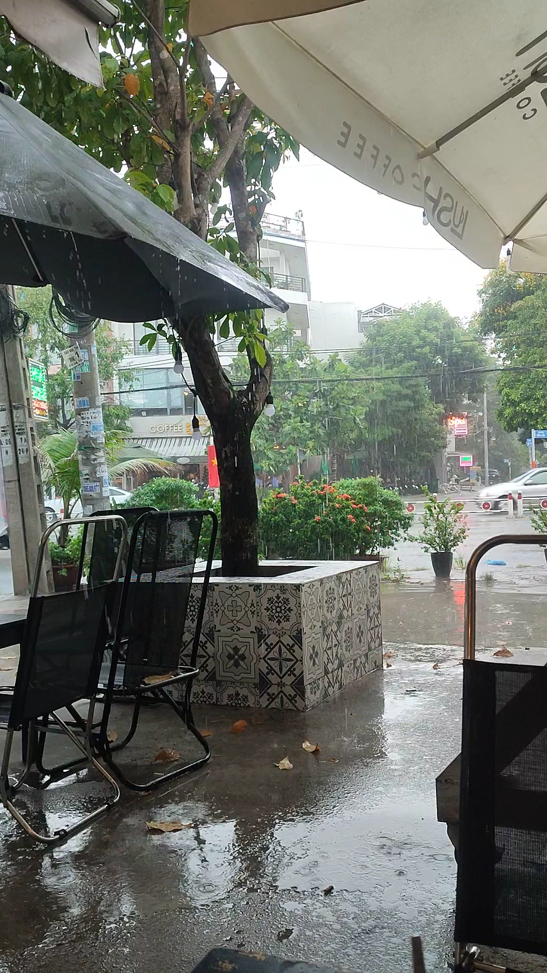 LUSH Coffee and more 24/7