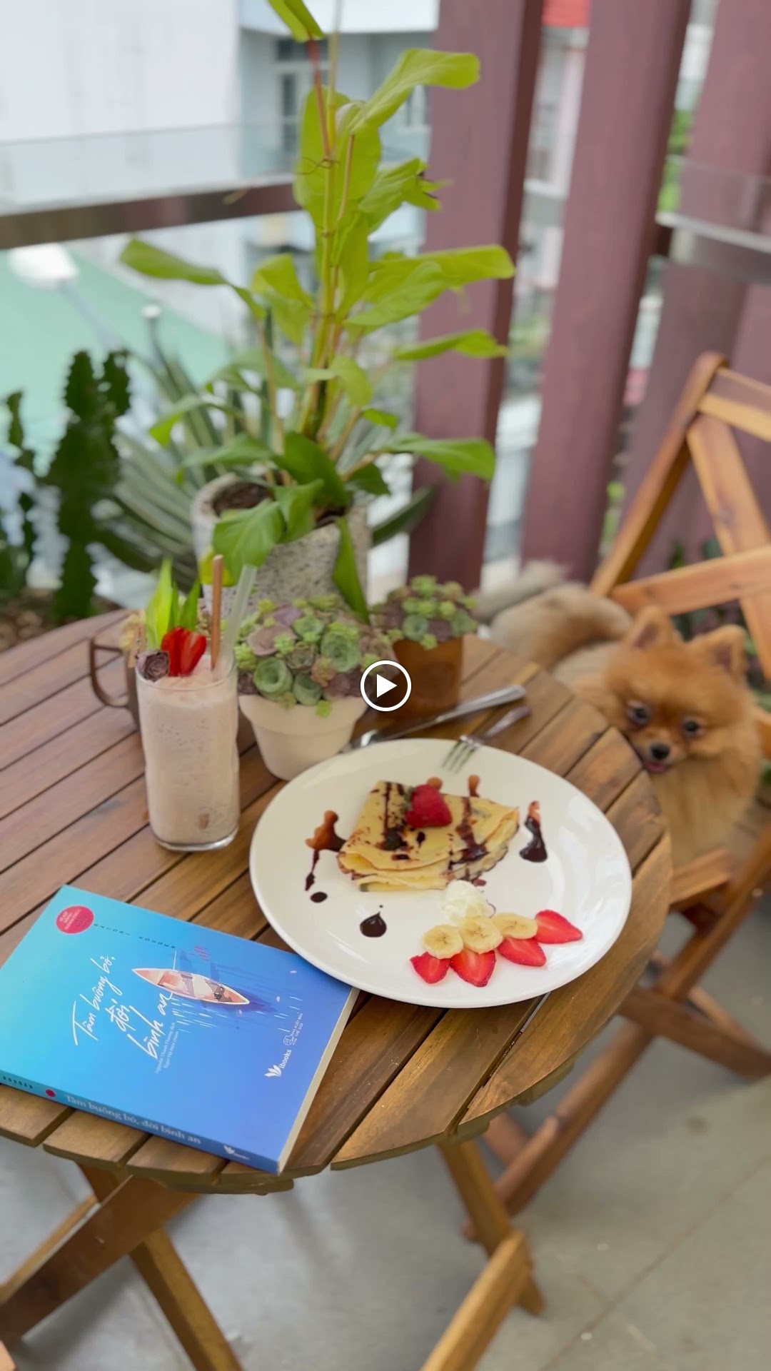 Lanlan Pet Coffee & Tea - Quán Cafe chó, cafe thú cưng quận 2