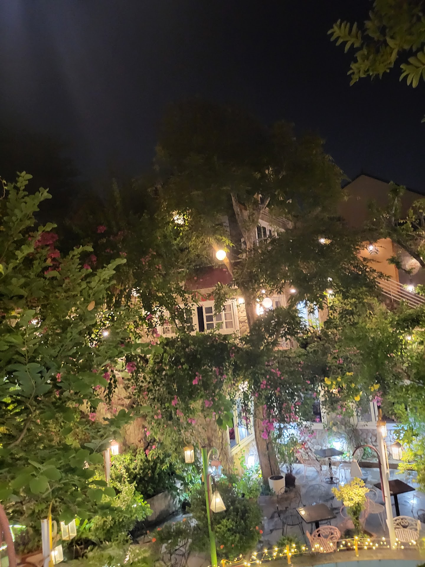 Coffee Điện Ảnh 2