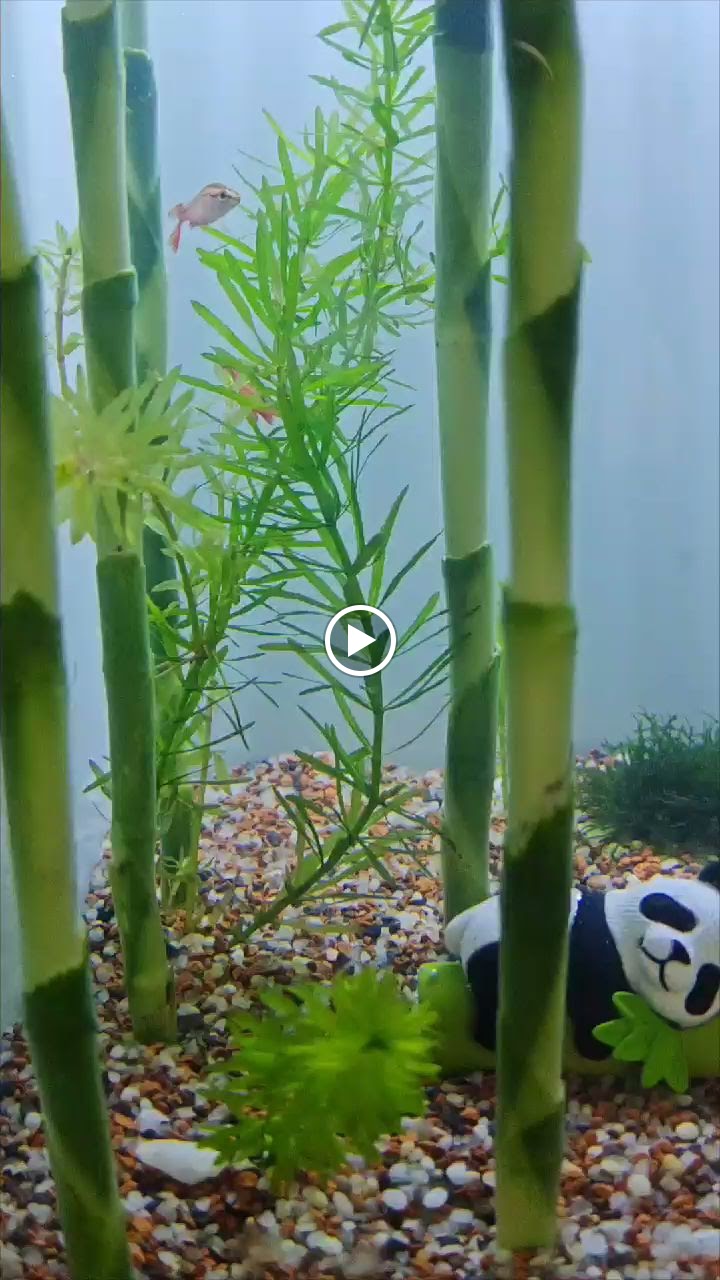 Ý Là Cafe Signature