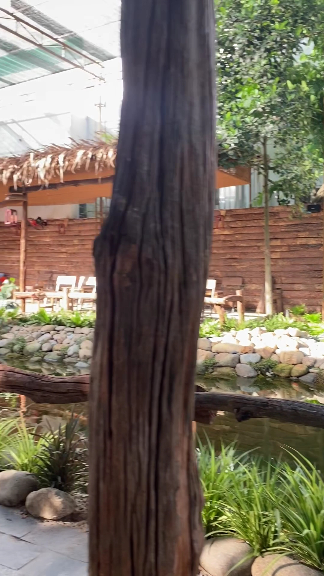 The Chill Corner Coffee