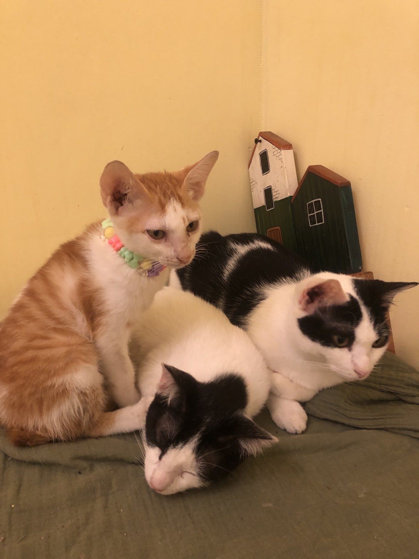 Mùa Hè Cafe & Friends (By Dean's Dream)