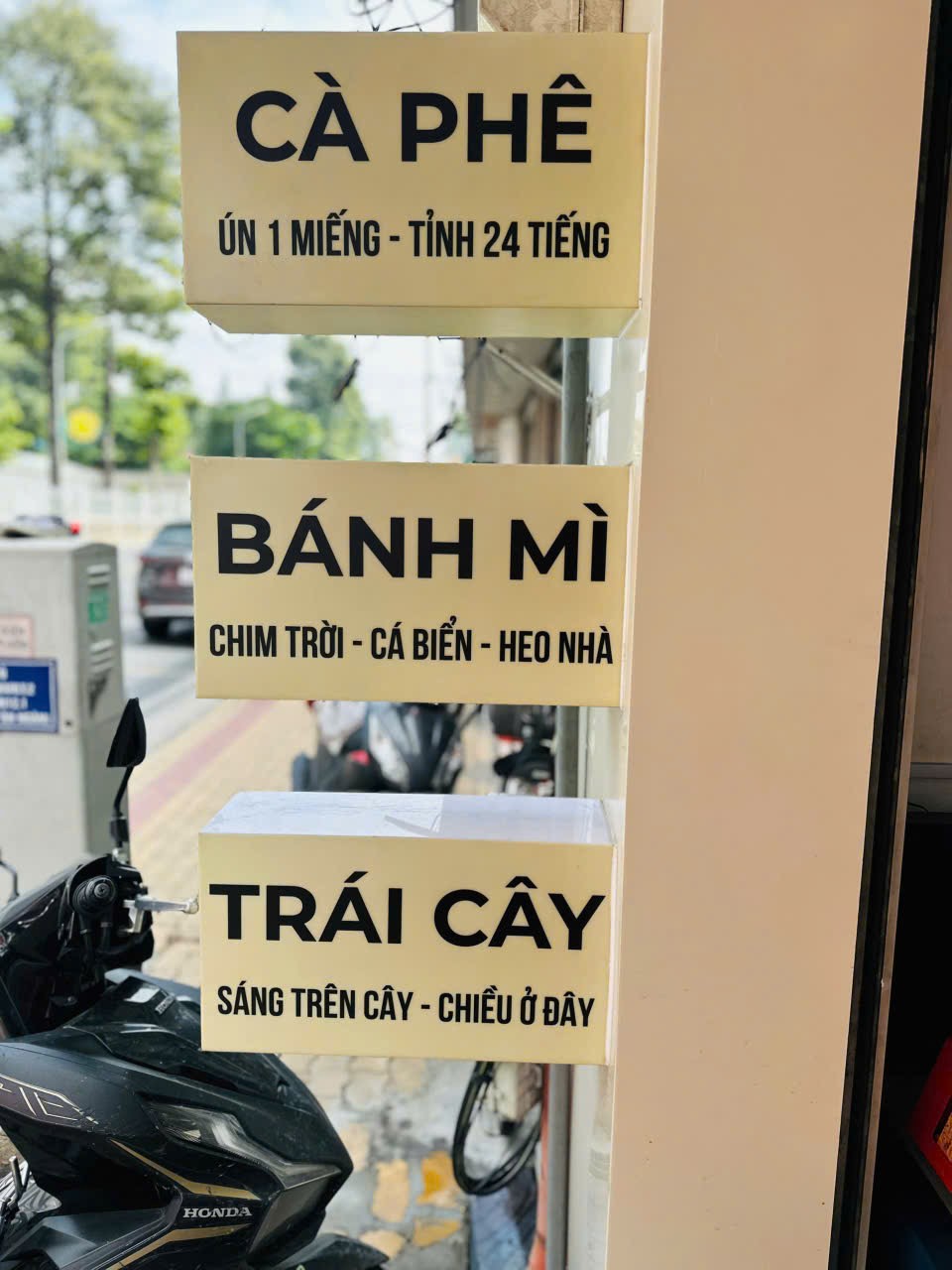 Root's (Cà phê - Bánh mì - Trái cây)