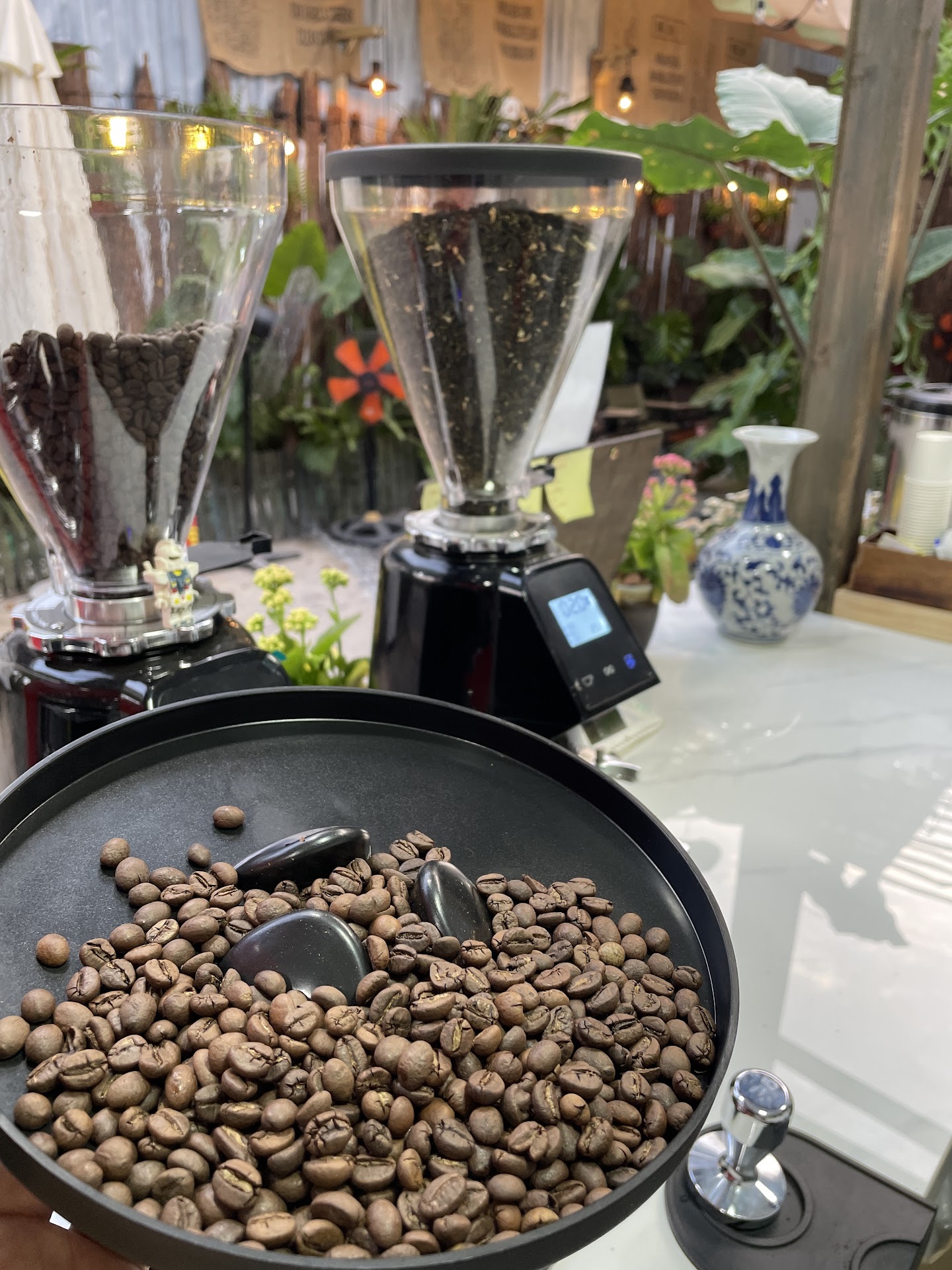 Cà Phê Đặc Sản Bản Địa Đlieyang