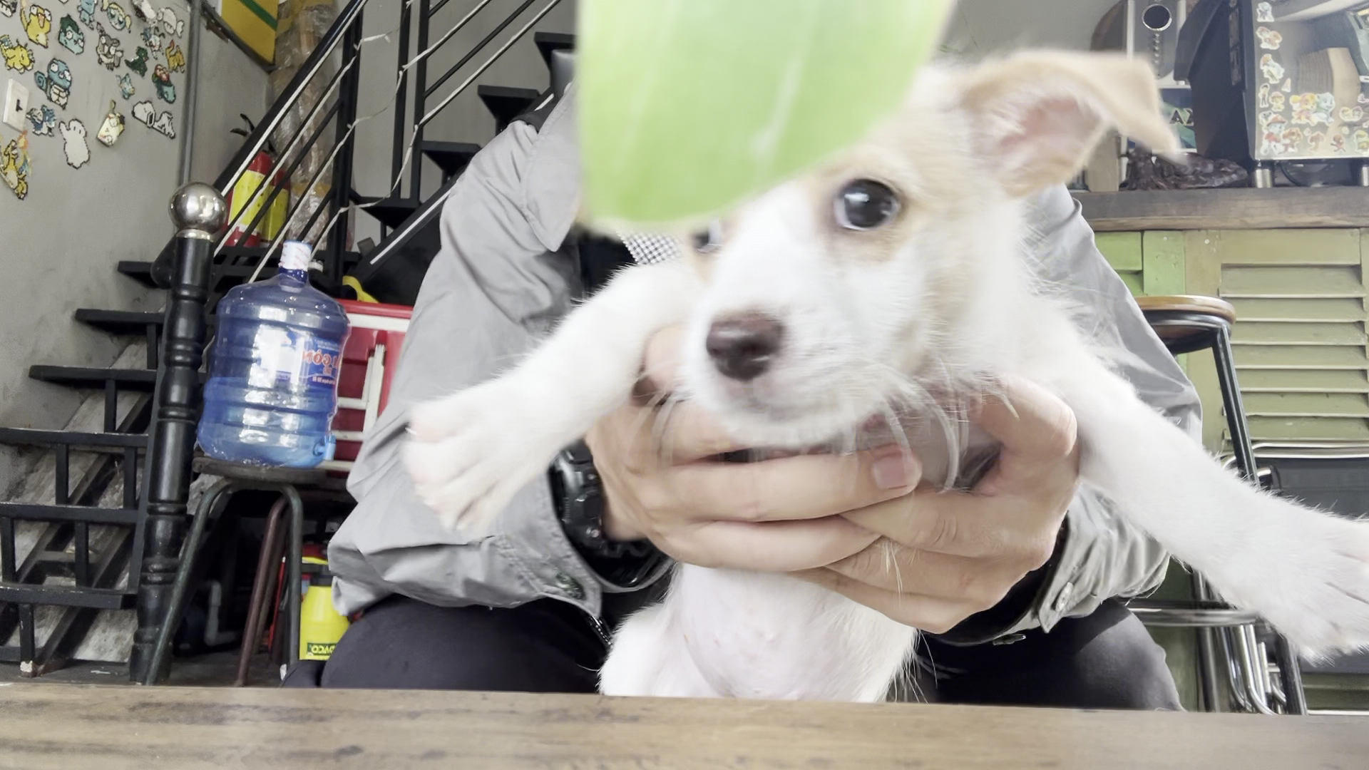 Quán Cà Phê - Từ Tây Nguyên