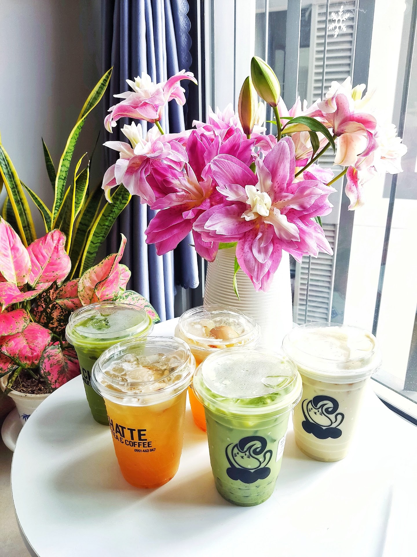 Chatte Milk Tea & Coffee