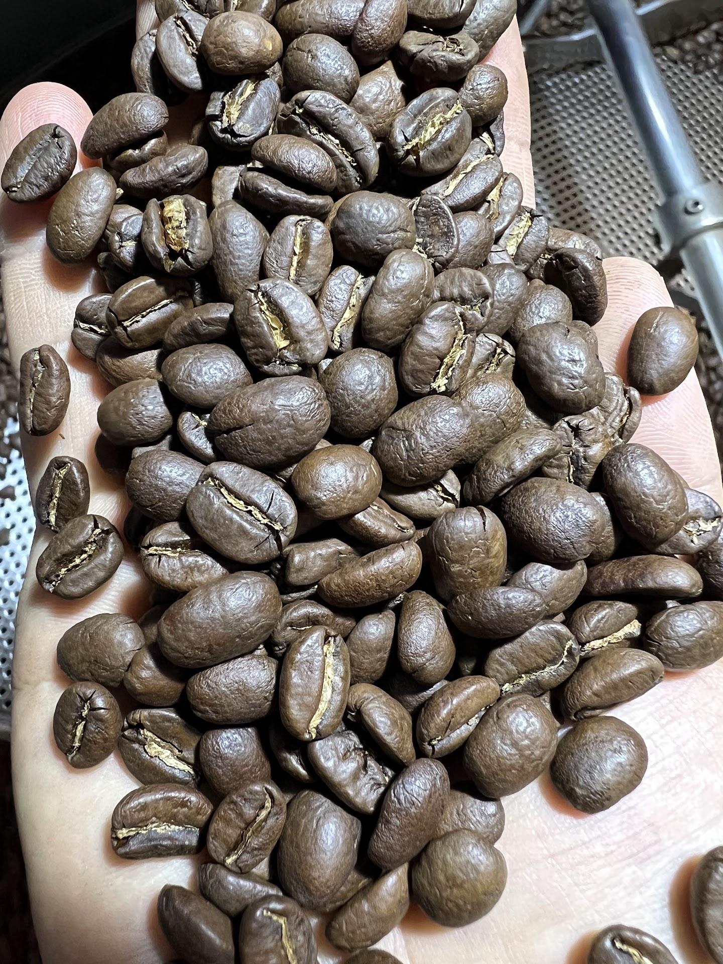 Rang gia công cà phê giá rẻ quận 12 Hóc Môn tphcm - HOT AIR coffee