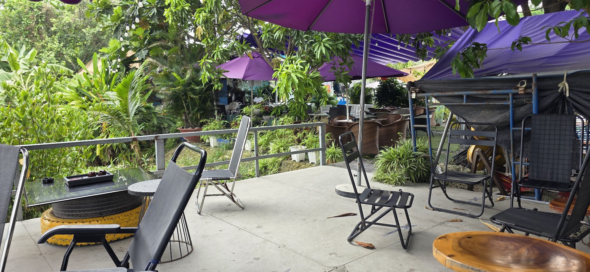 CÀ PHÊ SÂN VƯỜN BÊN SÔNG 1979.