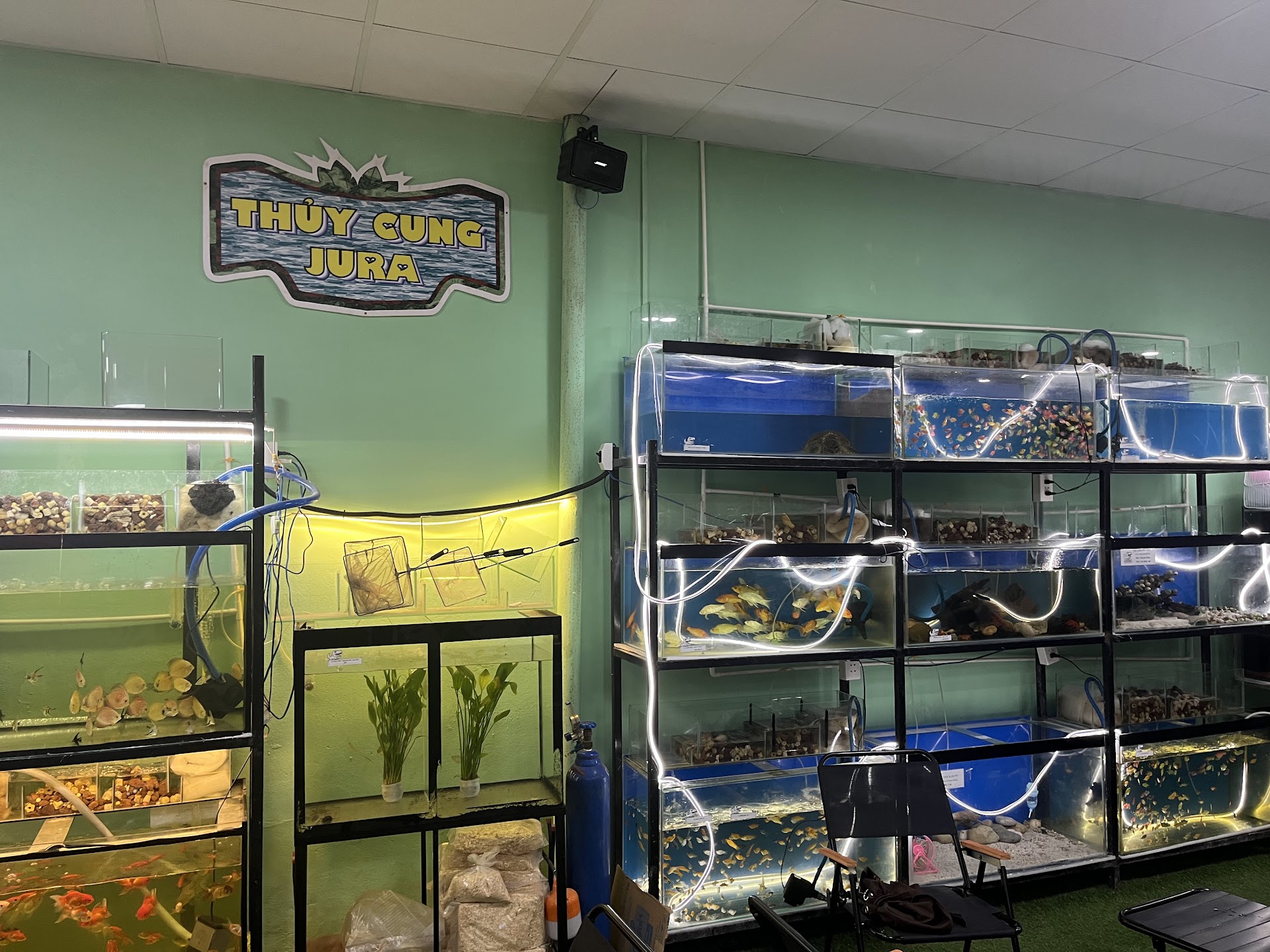 Khu vui chơi trẻ em, coffee và cà phê JURA KIDS